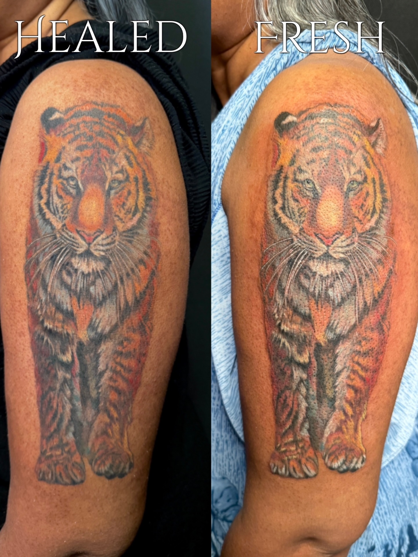 Tiger realism tattoo on the shoulder by aria, Austin, Texas