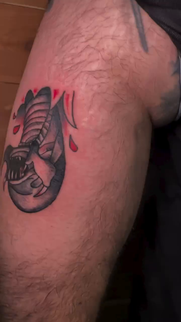 Alien xenomorph head realism tattoo on the forearm by Alexander Haber