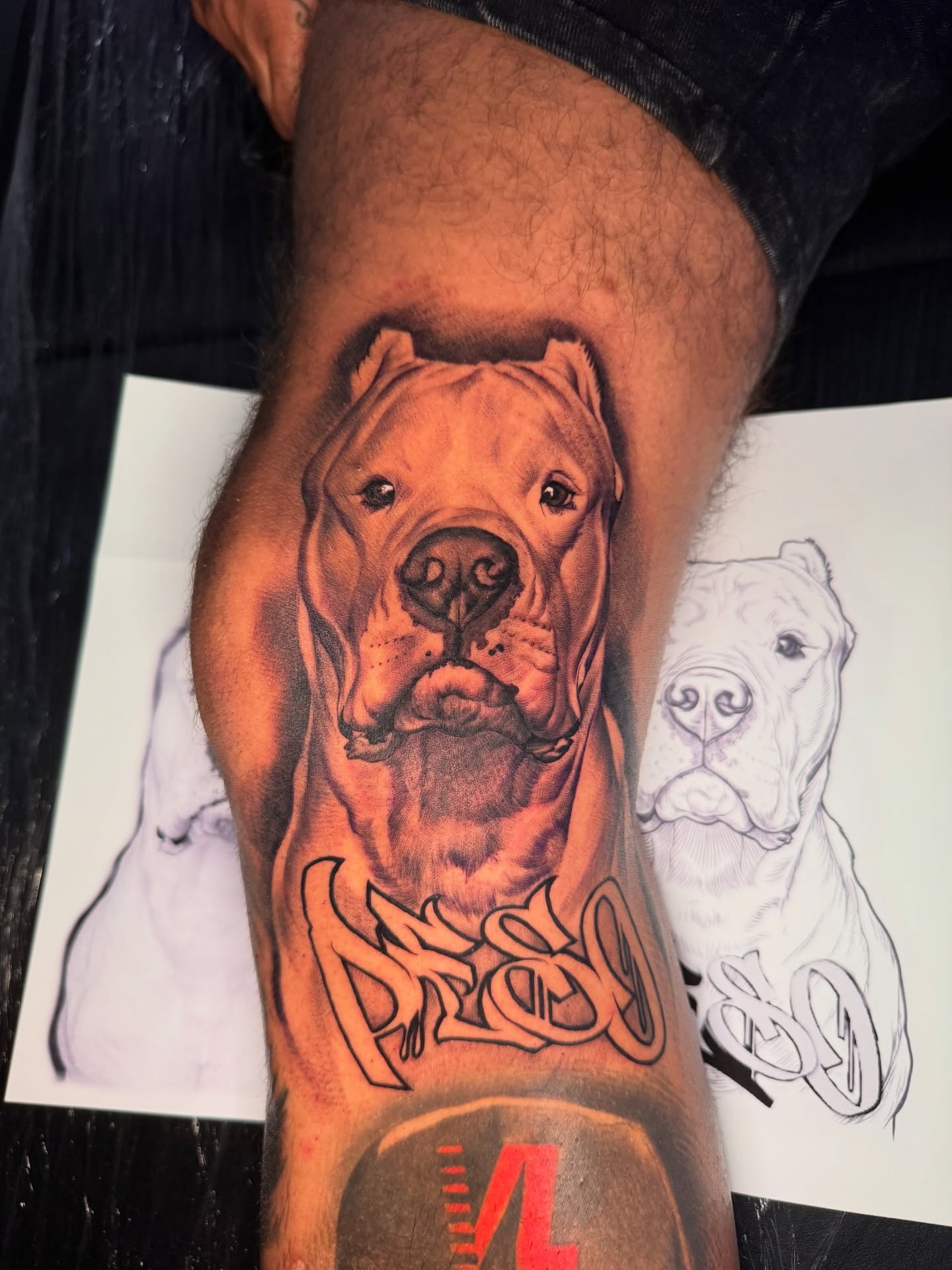 Pit bull realism tattoo on the forearm by tombstone