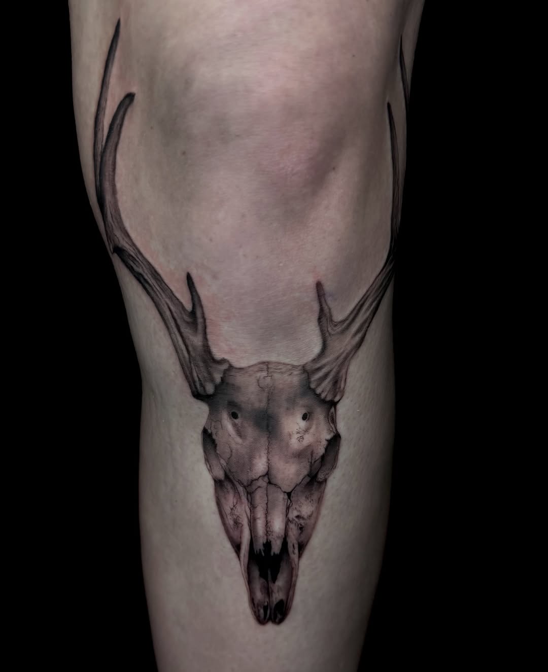 Deer skull dark art tattoo on the forearm by Alexa Camacho