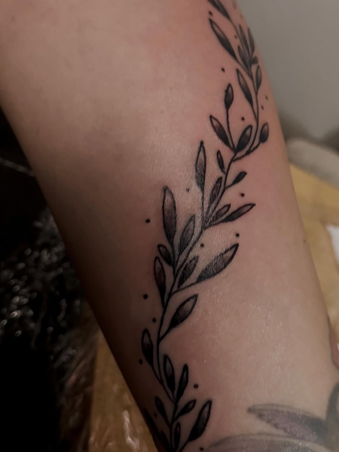 Botanical branch ornamental tattoo on the forearm by MY$T