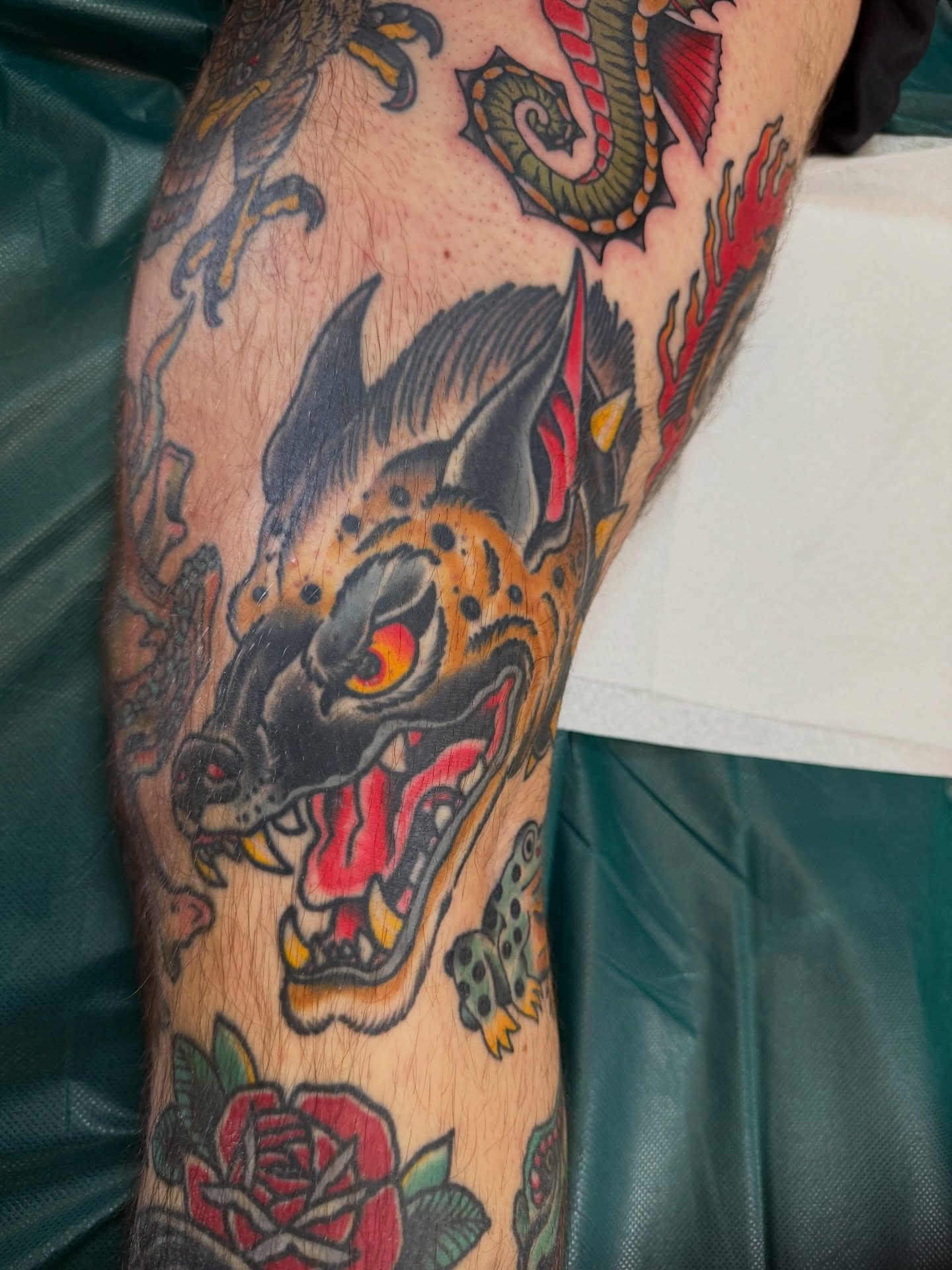 Tiger American traditional tattoo on the forearm by Christopher Mikesell