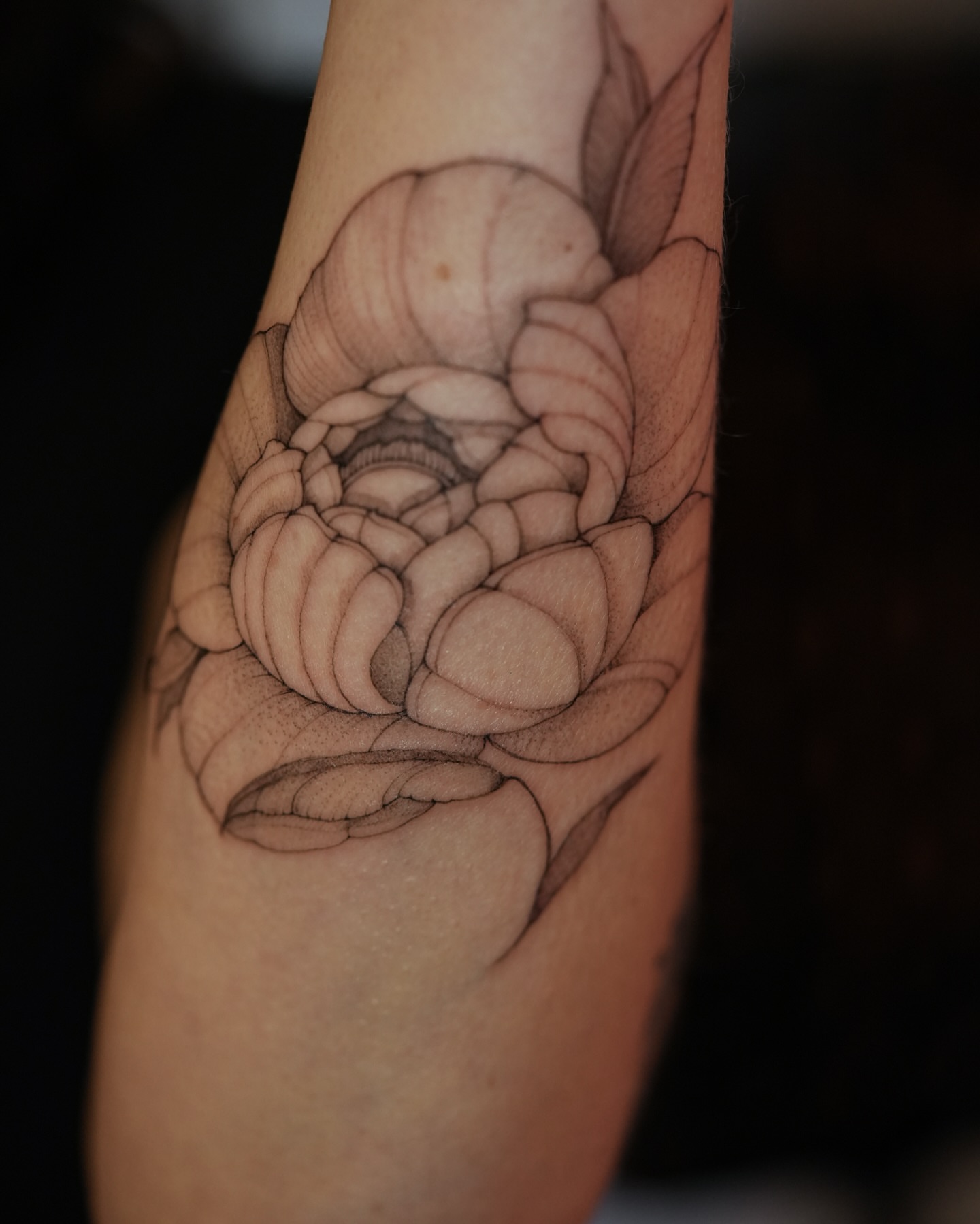 Lotus flower black and grey tattoo on the forearm by Zalina Loriia
