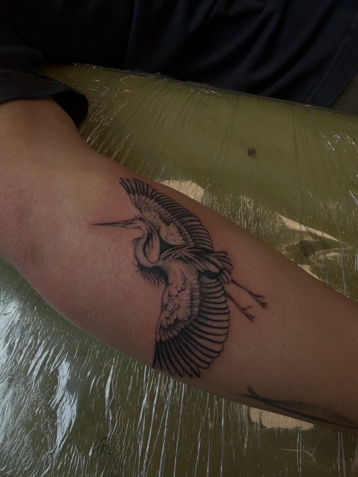 Heron black and grey tattoo on the forearm by ashlyn rene
