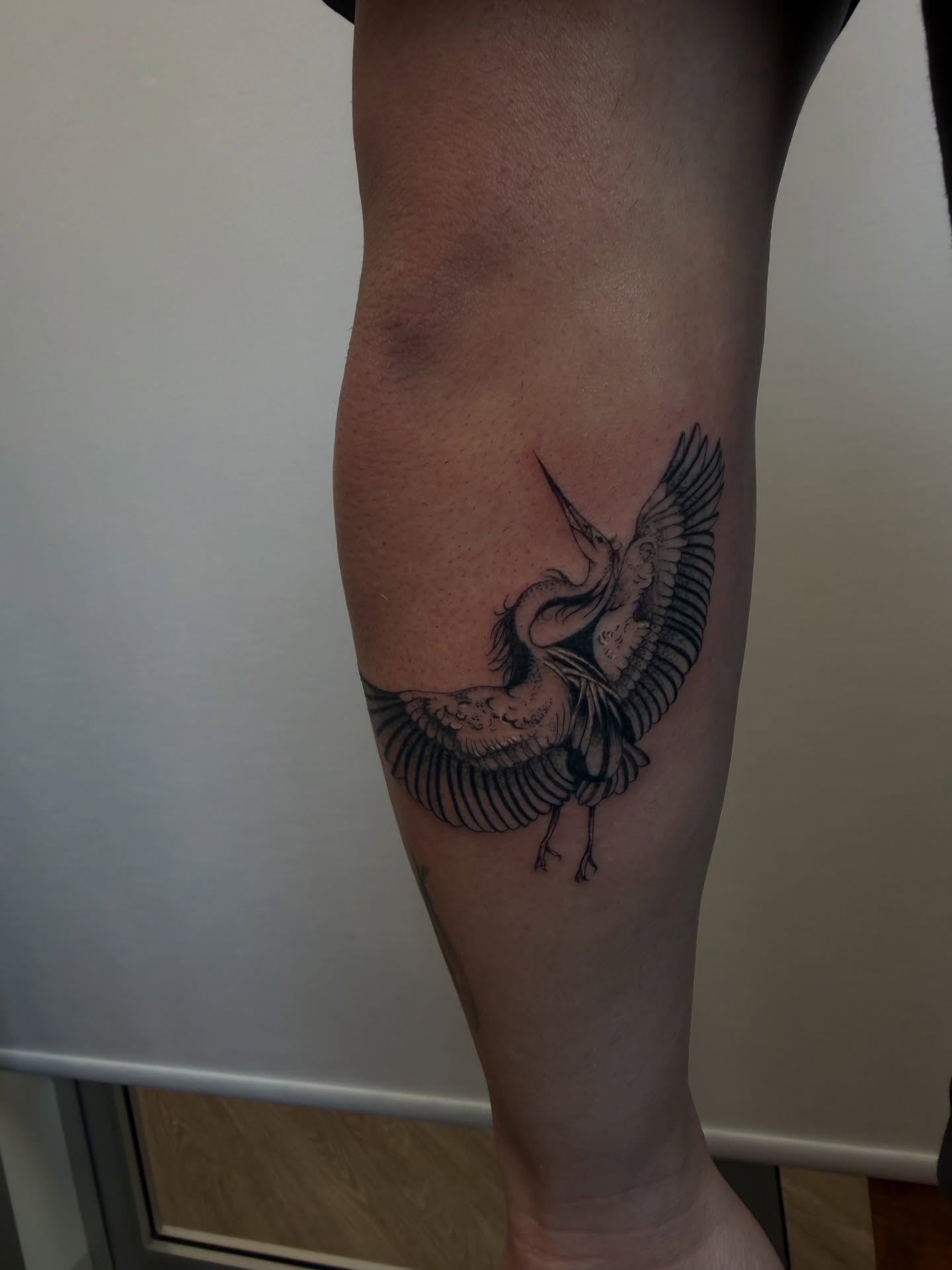 Heron black and grey tattoo on the forearm by ashlyn rene