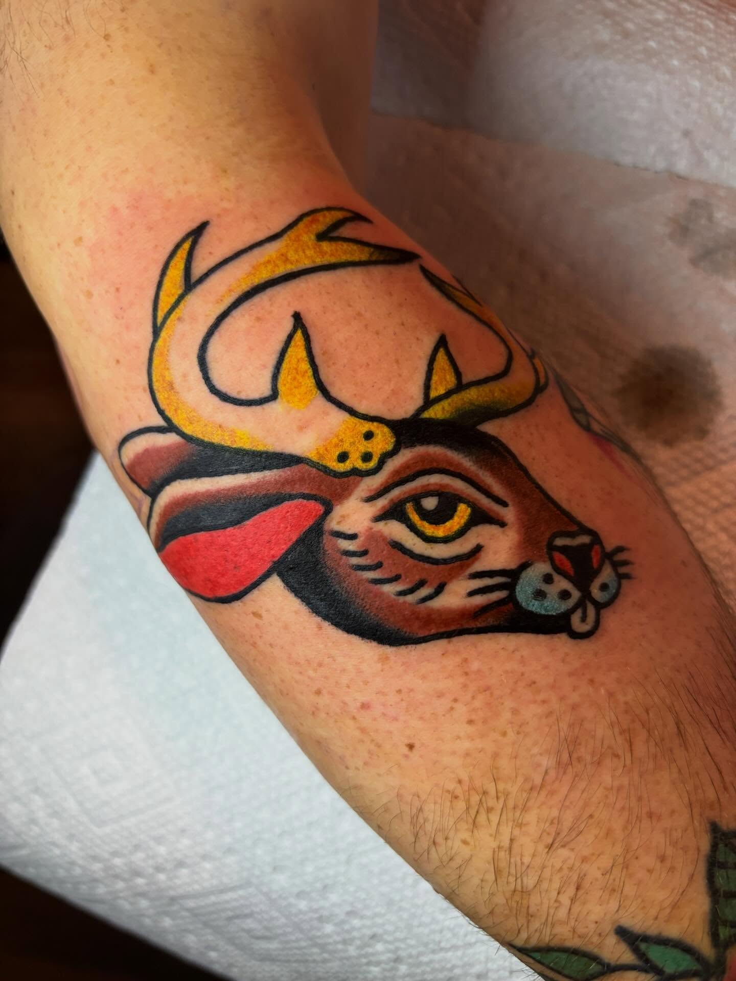 Deer head American traditional tattoo on the forearm by Mitch Ashpaugh