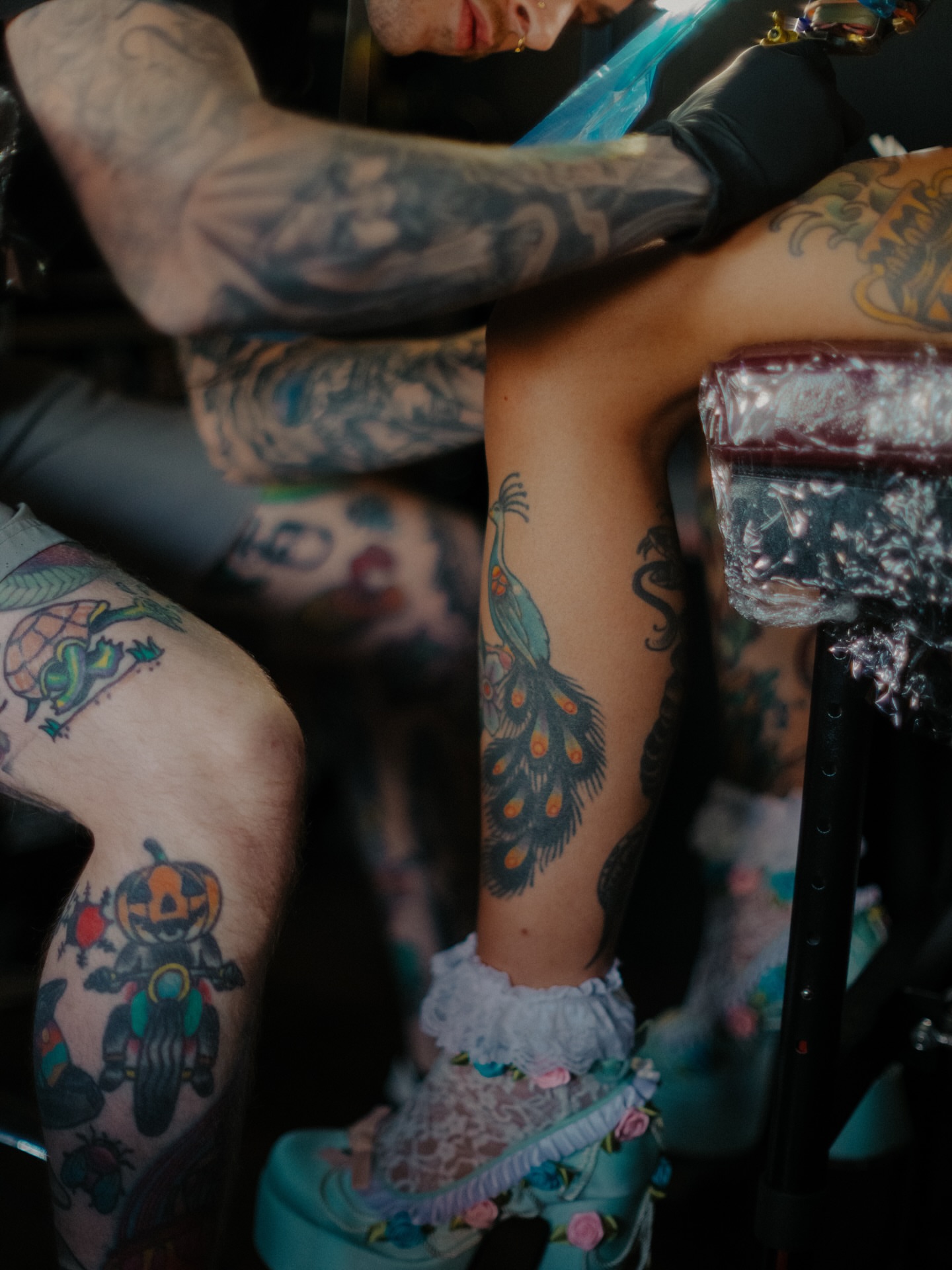 Peacock feather American traditional tattoo on the leg by Javin Klingelhoefer Mosley
