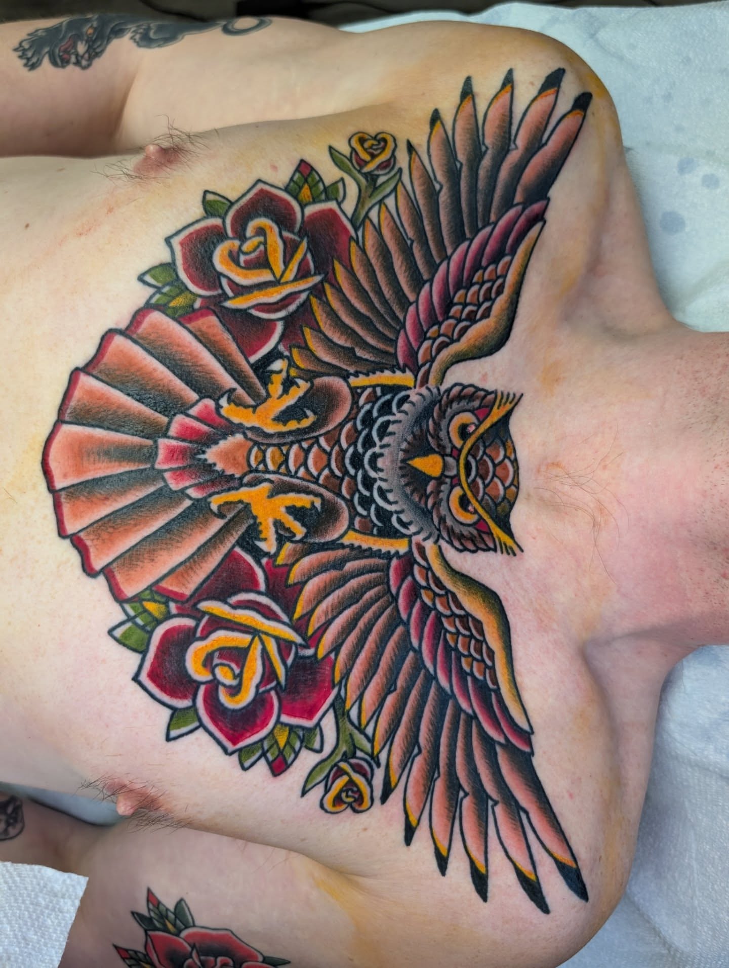 Peacock and roses American traditional tattoo on the back by Erik O'Steen, Medford, Massachusetts