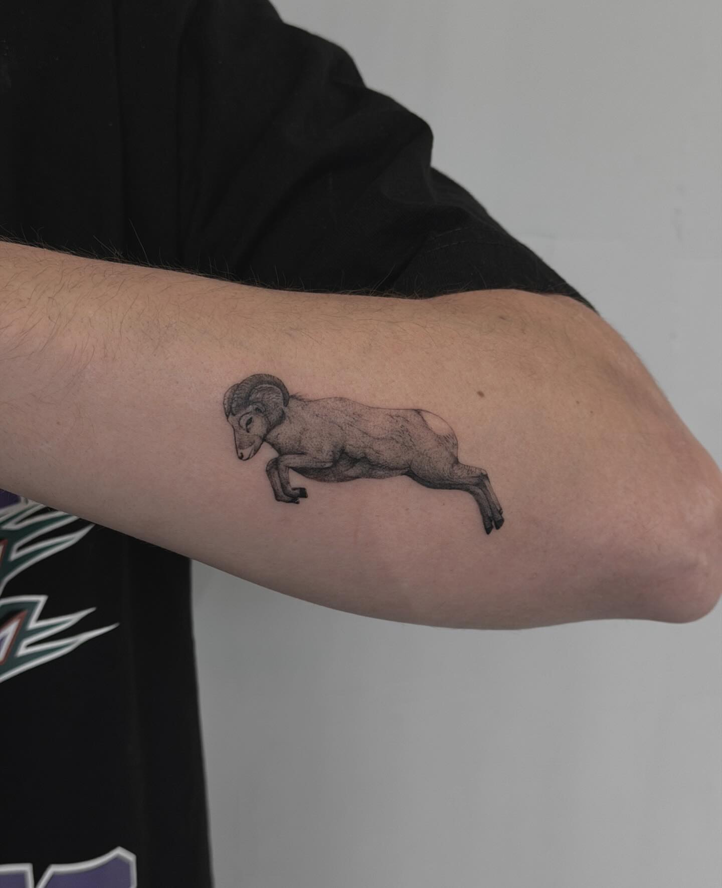 Ram black and grey tattoo on the forearm by Hannah Matthews