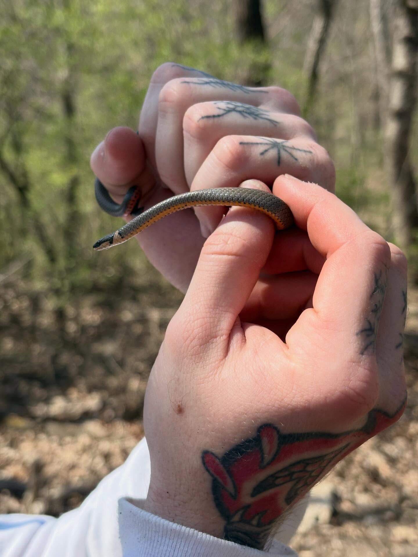 Tattooed hand American traditional tattoo on the hand by kane