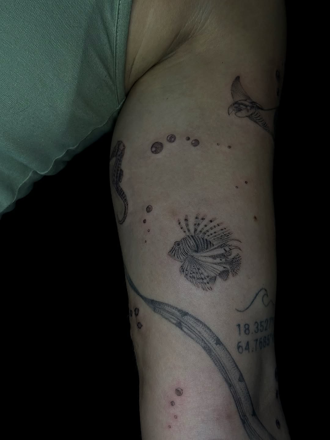Tattoo by @cultofspice — fine_line, dotwork
