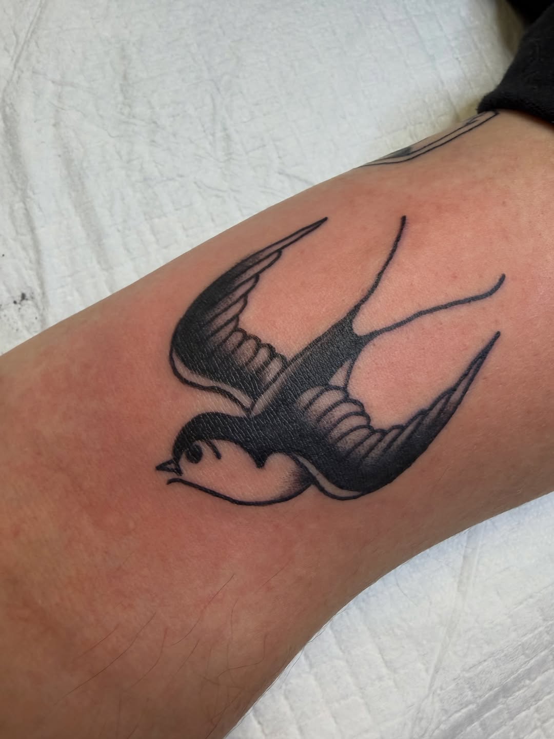 Swallow bird fine line tattoo on the forearm by Nick Tumminello