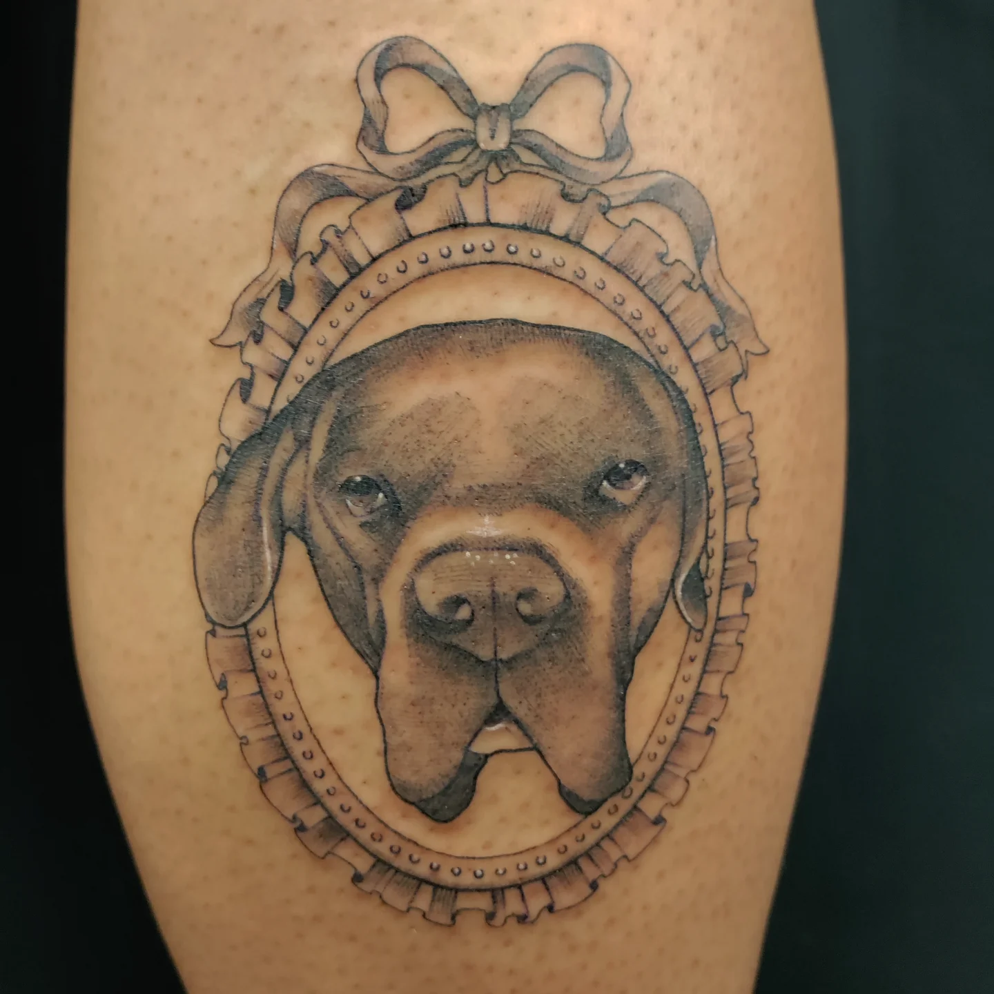 Dog portrait realism tattoo on the forearm by Kennedy Jones, Lee's Summit, Missouri