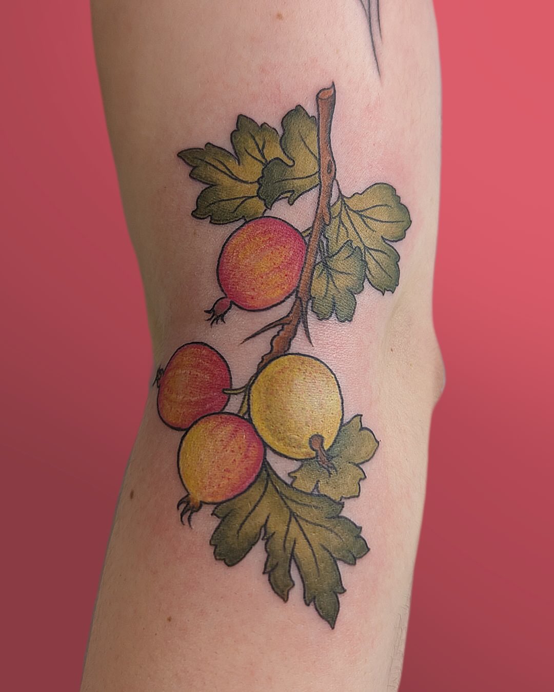 Tattoo by @lepus_tattoos — realism