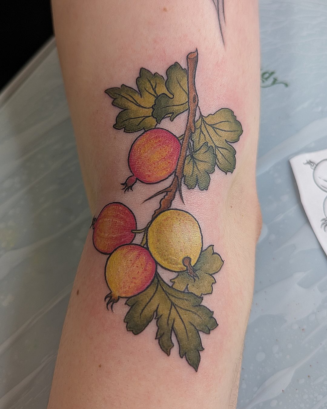 Tattoo by @lepus_tattoos — realism