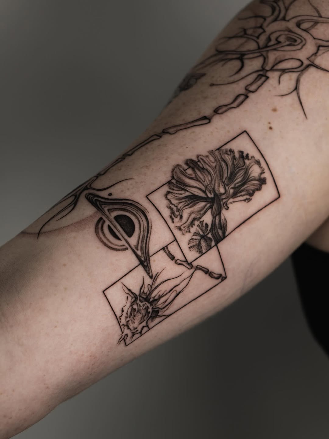 Tattoo by @ternotattoo — black_and_grey, illustrative
