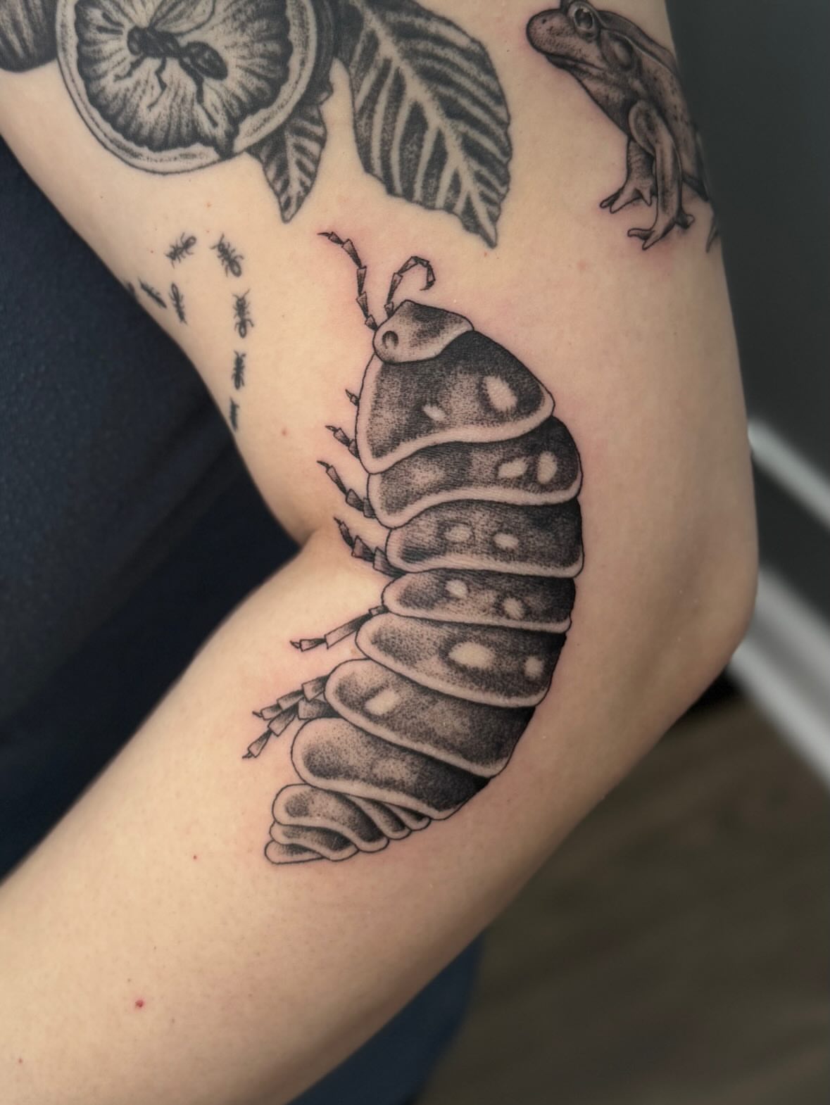 Woodlouse dotwork tattoo on the forearm by Kamakana Pankiwska