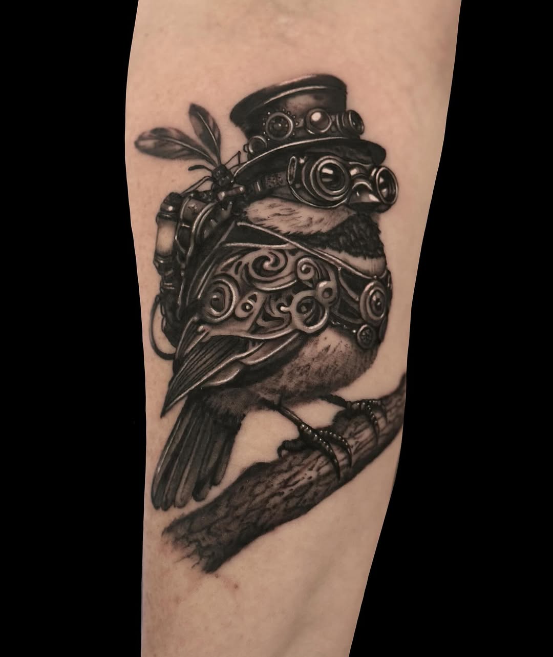 Steampunk bird on a branch fine line tattoo on the forearm by Jen Bean, Richmond, Virginia