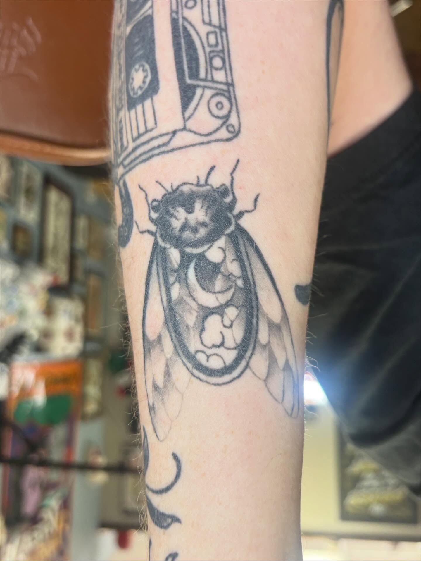 Cicada black and grey tattoo on the forearm by Gabby, Kansas City, Missouri