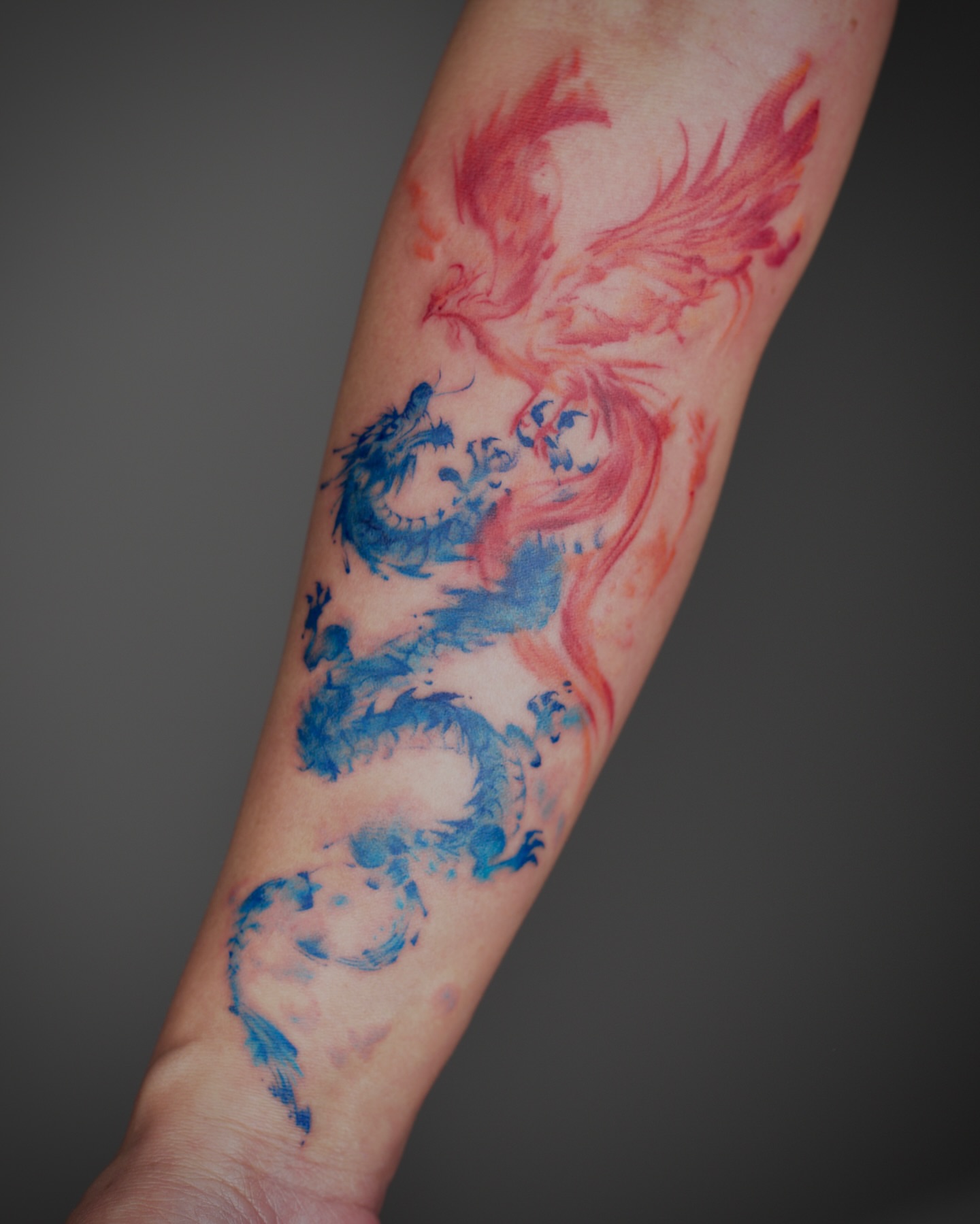 Dragon and phoenix watercolor tattoo on the forearm by Abi