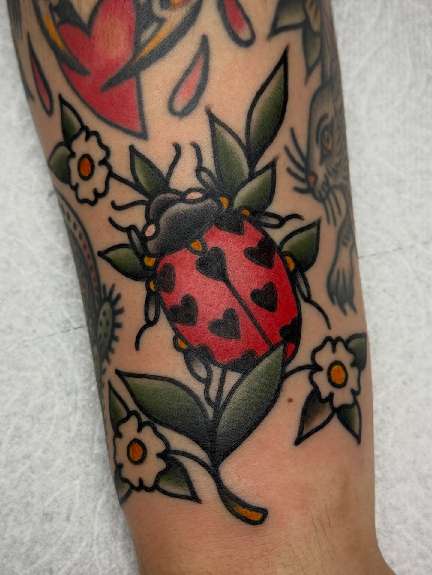 Ladybug American traditional tattoo on the forearm by Jordan Allen