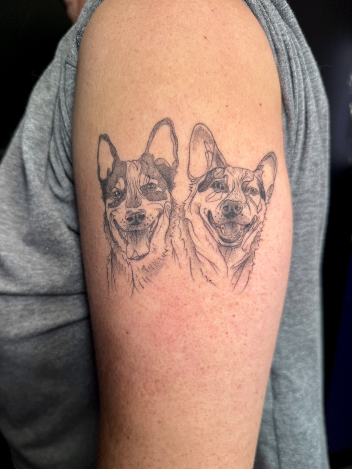 Dogs realism tattoo on the upper arm by aria, Austin, Texas
