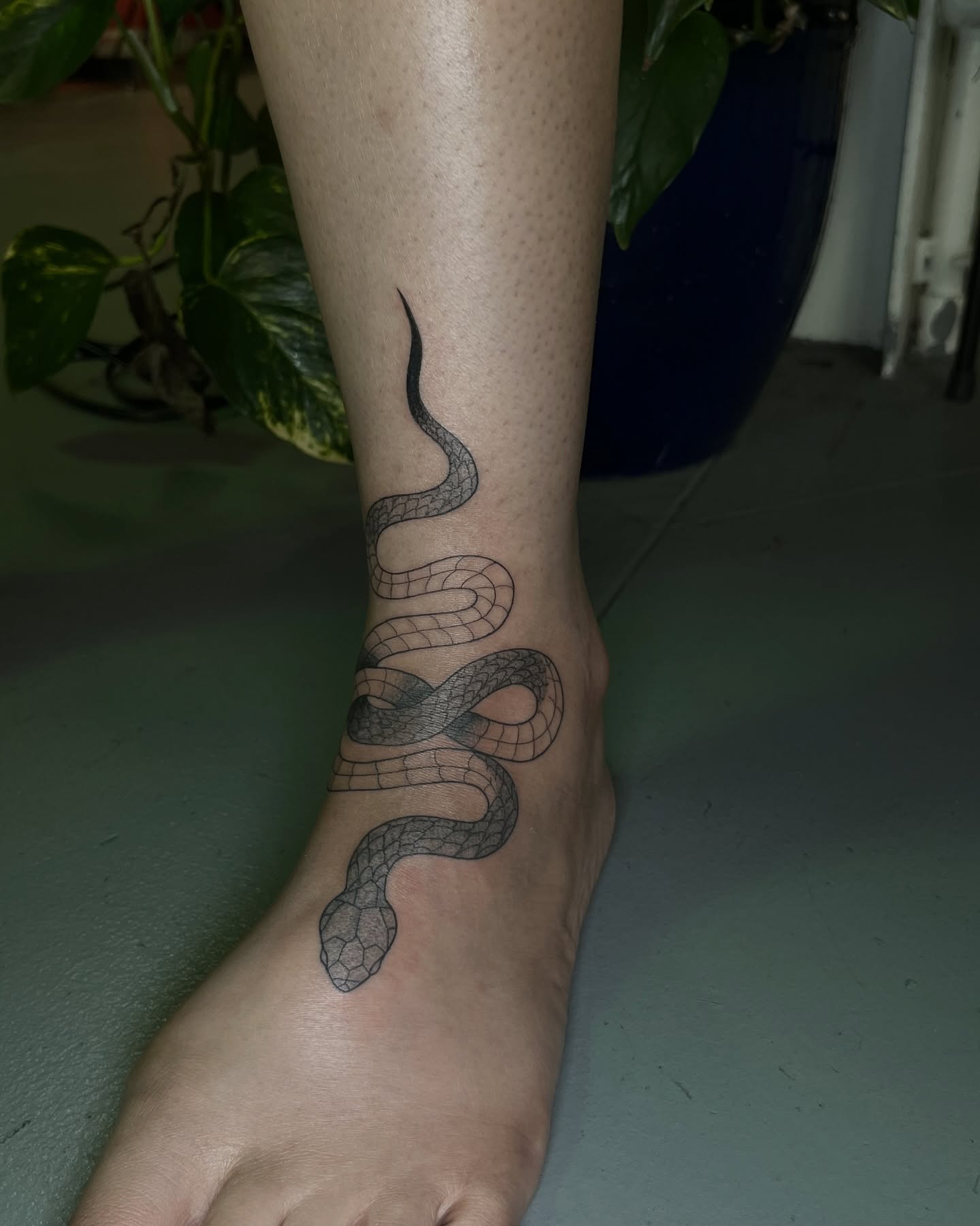 Snake black and grey tattoo on the foot by Daniela
