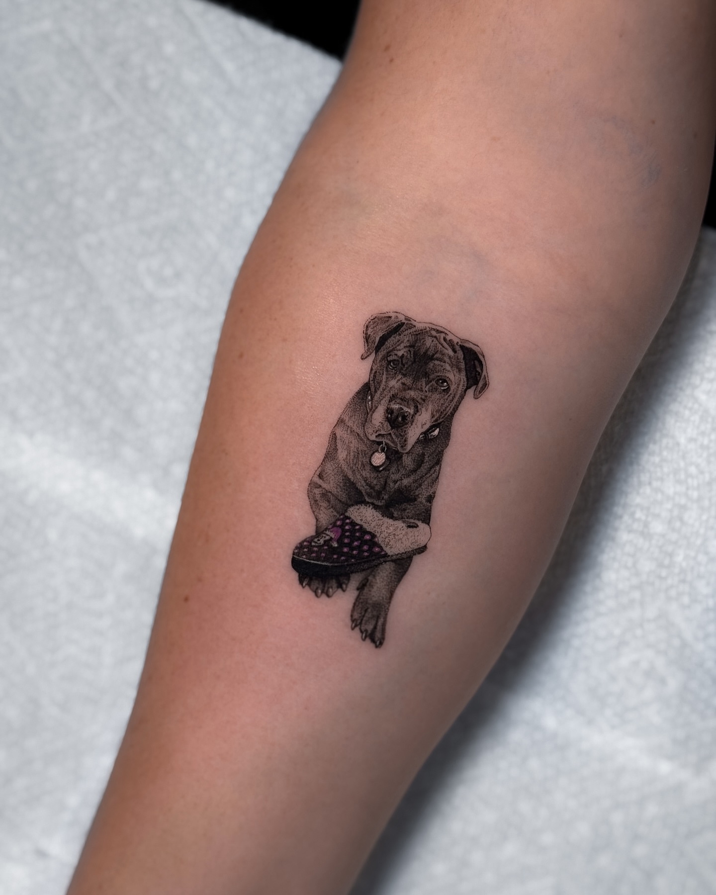 Dog with shoe realism tattoo on the forearm by ♡ 𝕍𝕚𝕔𝕥𝕠𝕣𝕚𝕒 ℍ𝕠𝕝𝕞𝕖𝕤 ♡, Avon, Ohio