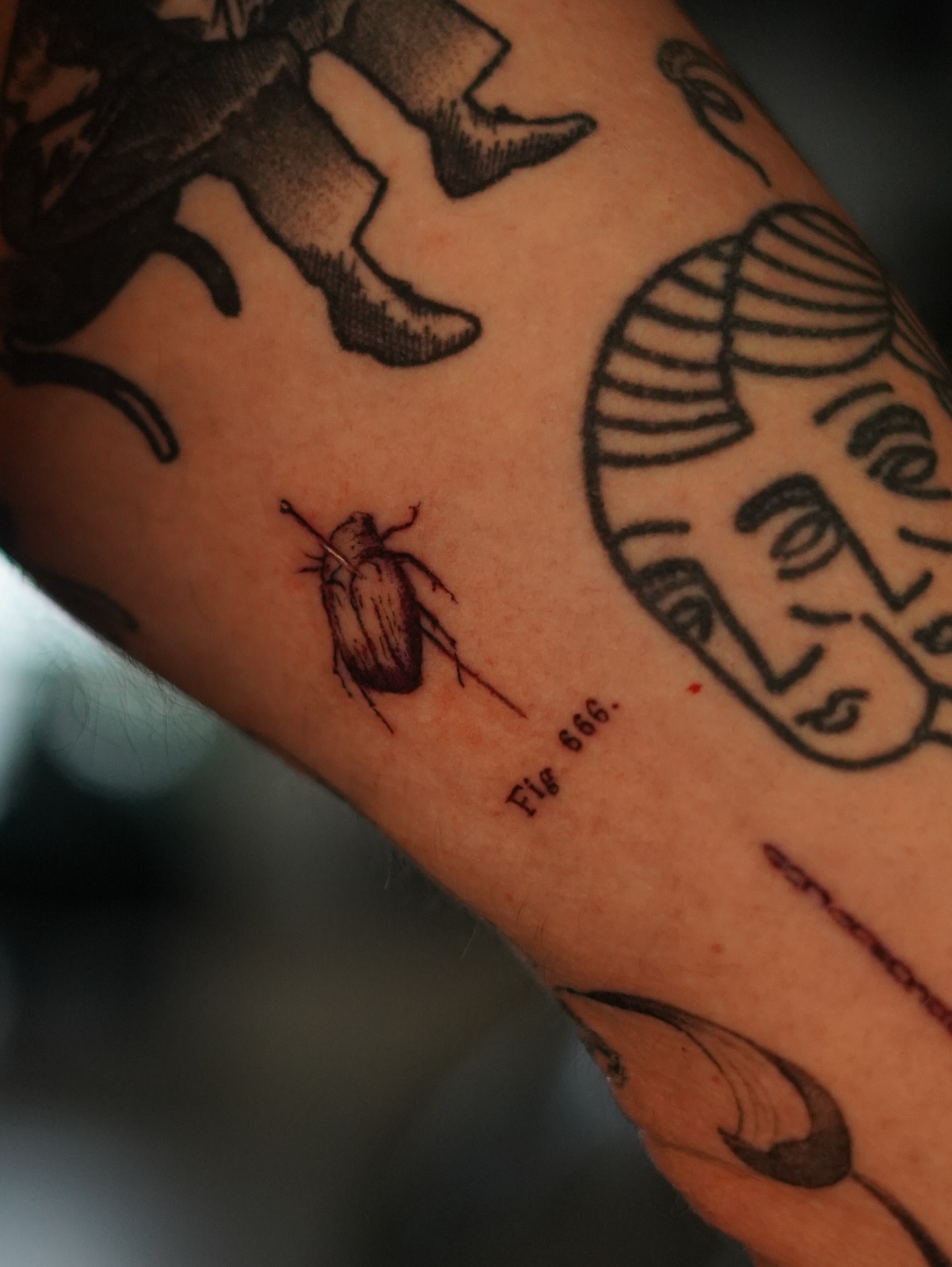 Insect black and grey tattoo on the forearm by Keely Thompson