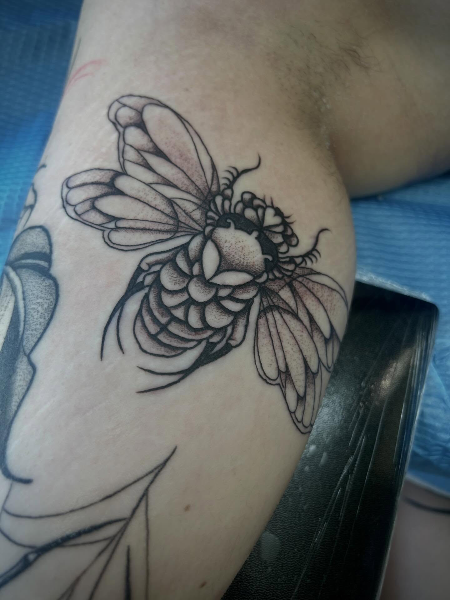 Bee dotwork tattoo on the forearm by Bria🩸