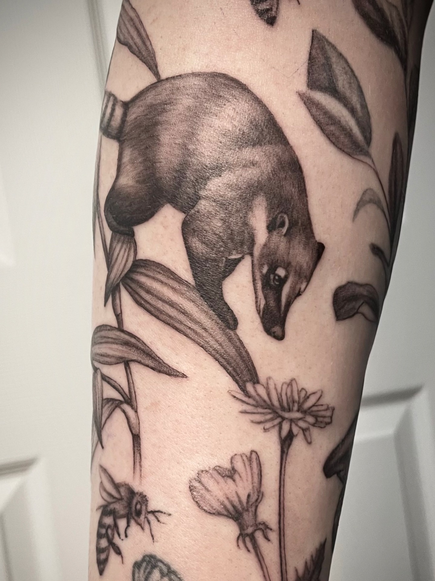 Badger and flowers realism tattoo on the forearm by @tatts_by_kat