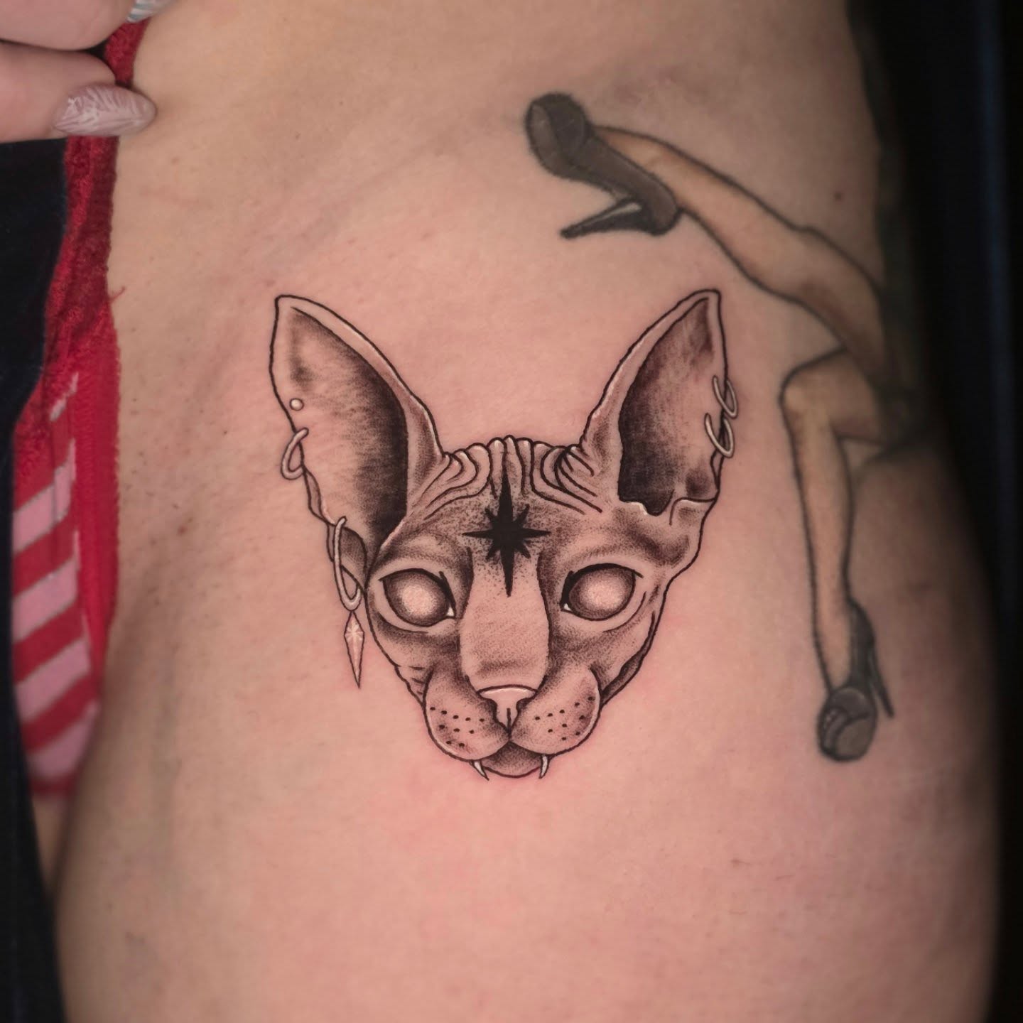 Cat black and grey tattoo on the thigh by Banana Cake