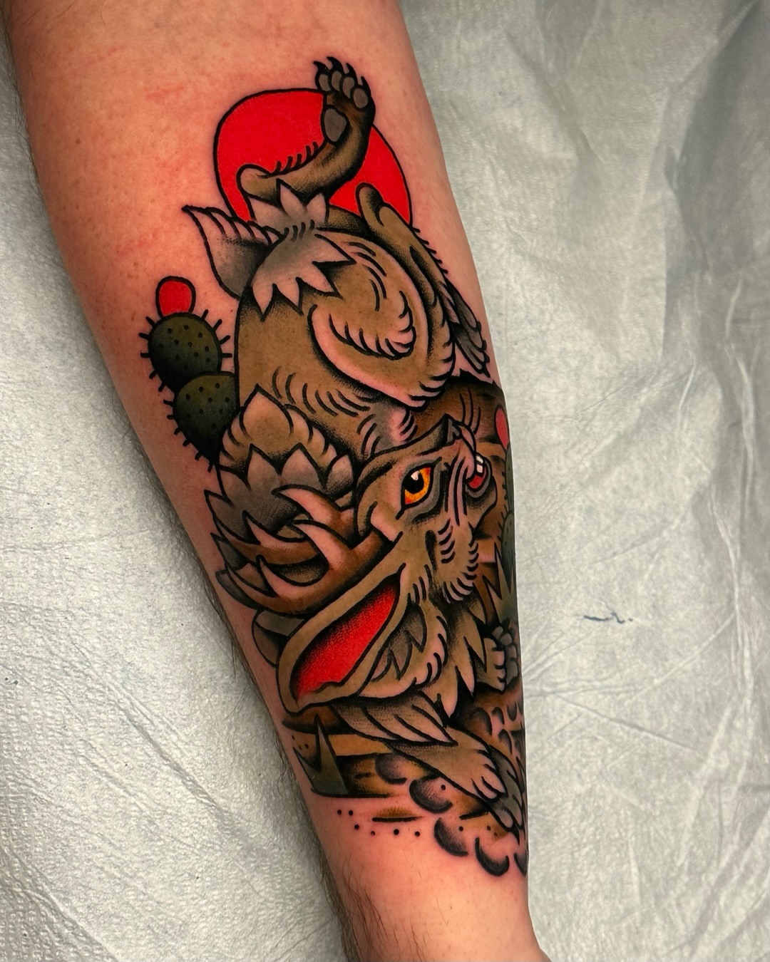 Lion American traditional tattoo on the forearm by Tony Perez- Austin Texas Tattooer