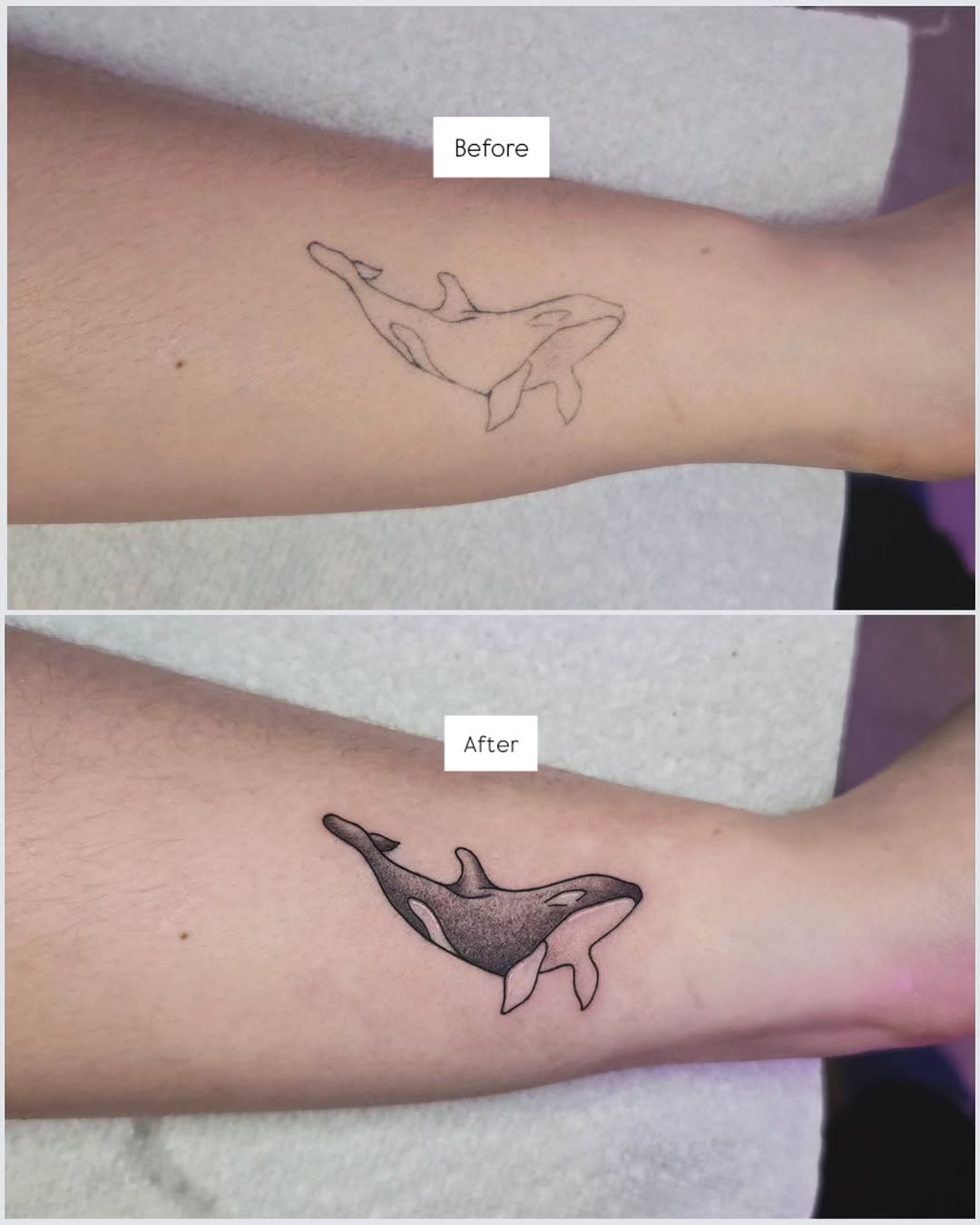Orca whale fine line tattoo on the forearm by Kirstie Lew Tattoo