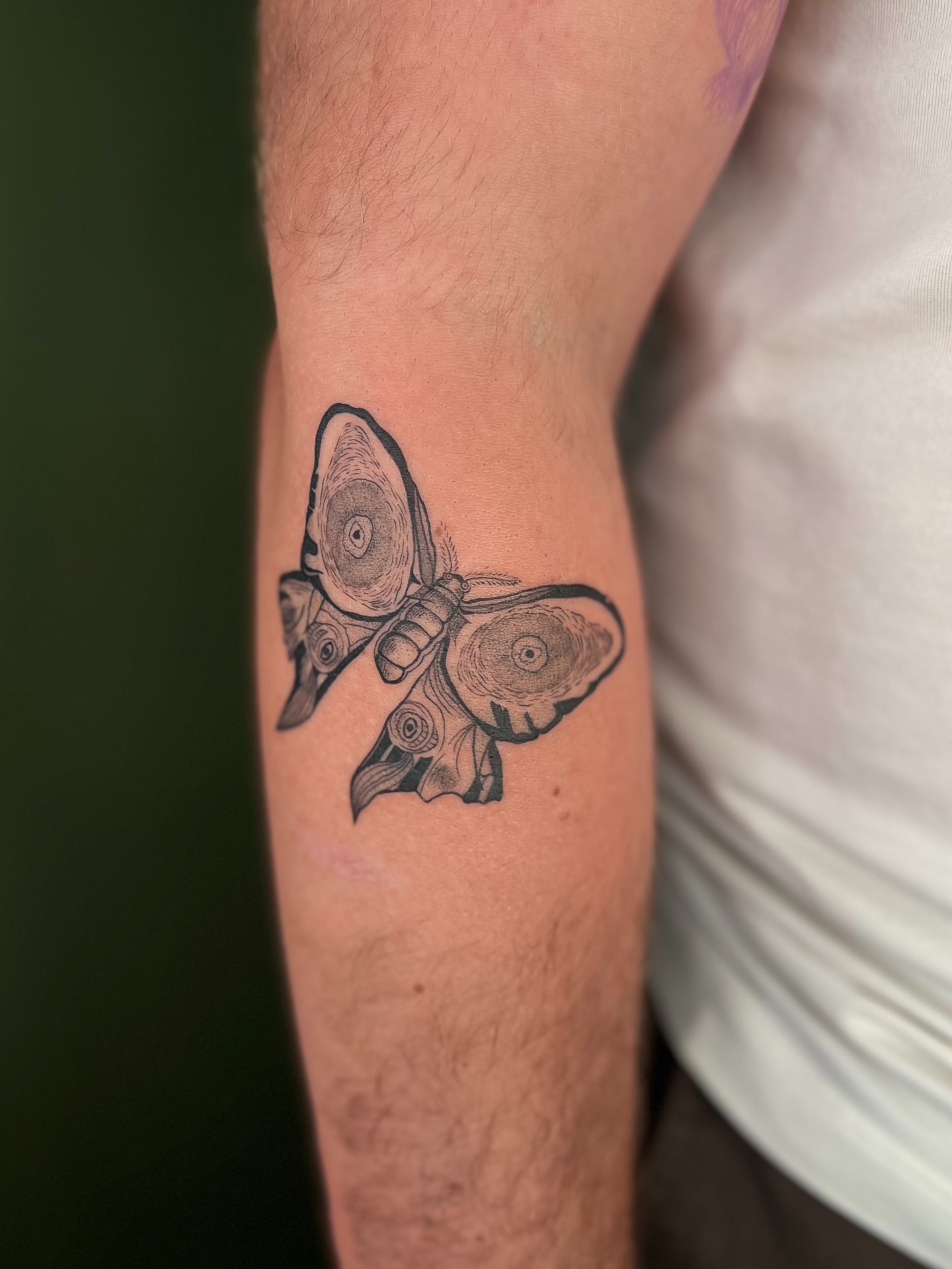 Butterfly black and grey tattoo on the forearm by ๐ฅ ๐๐ฅ๐๐ฑ๐ข๐ฌ ๐ฅ