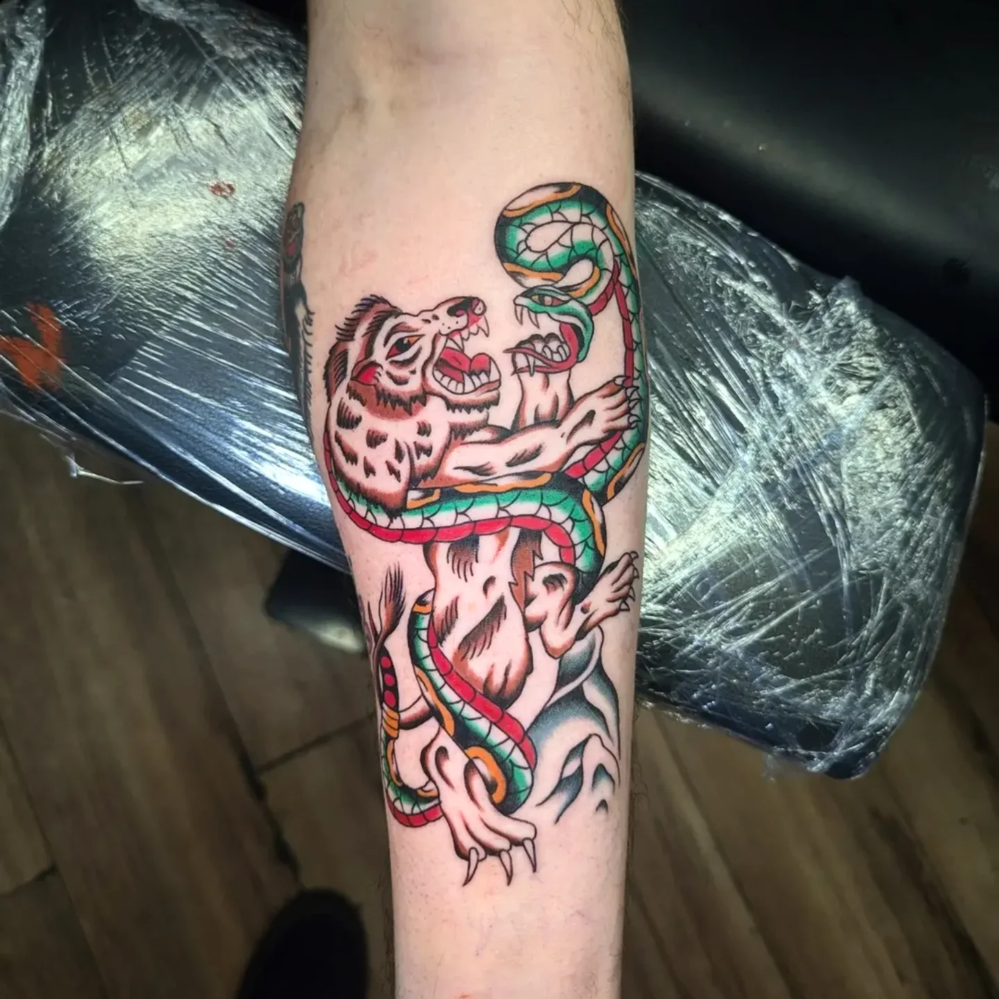 Lion and snake American traditional tattoo on the forearm by joseph palladino