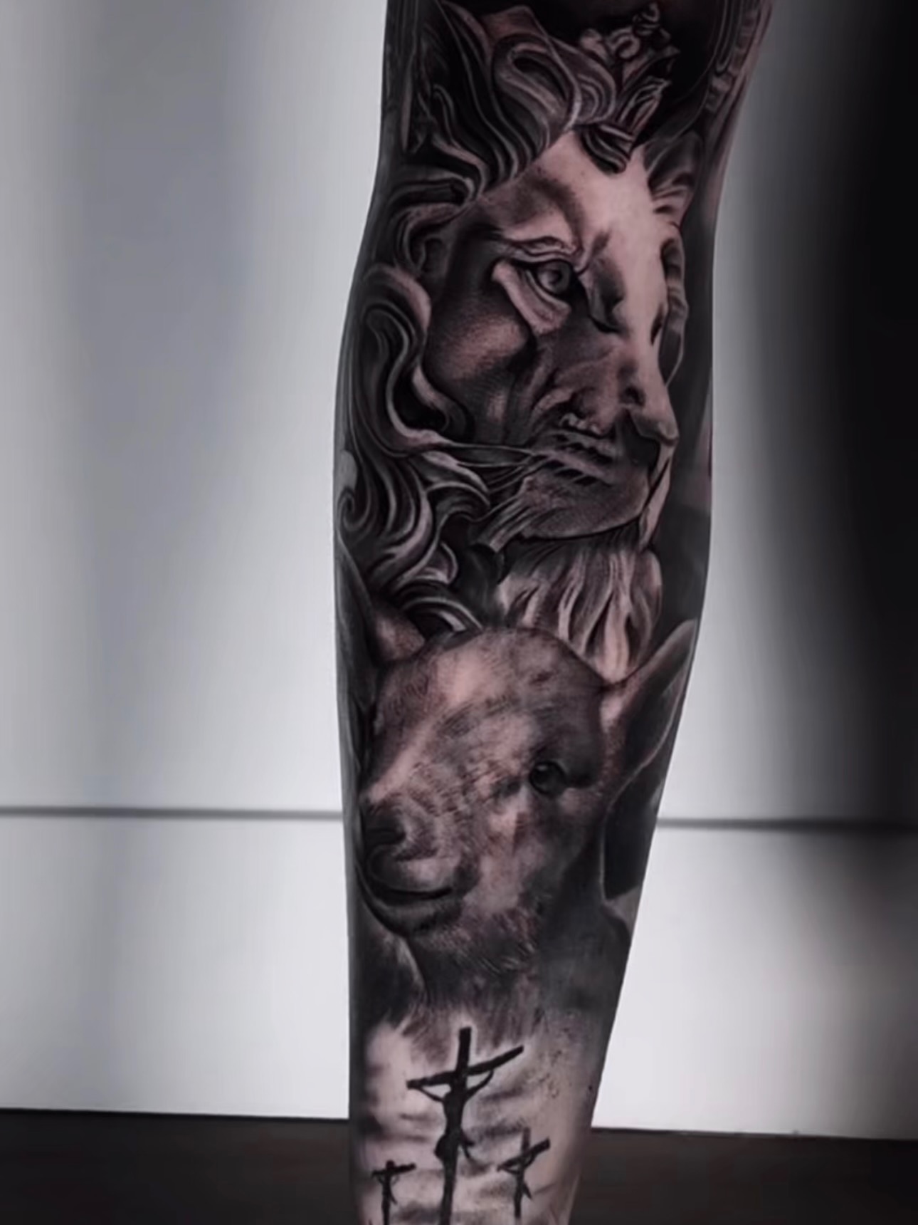 Lion and wolf realism tattoo on the forearm by Yudel