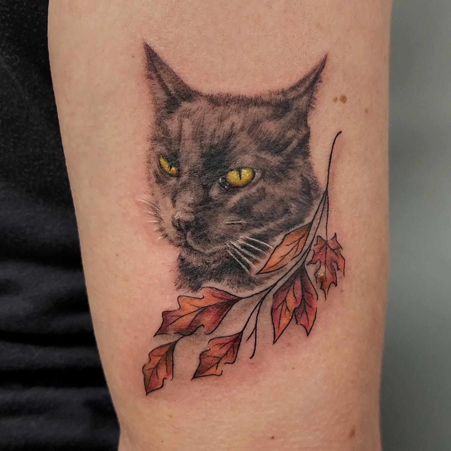 Cat realism tattoo on the forearm by Jason August