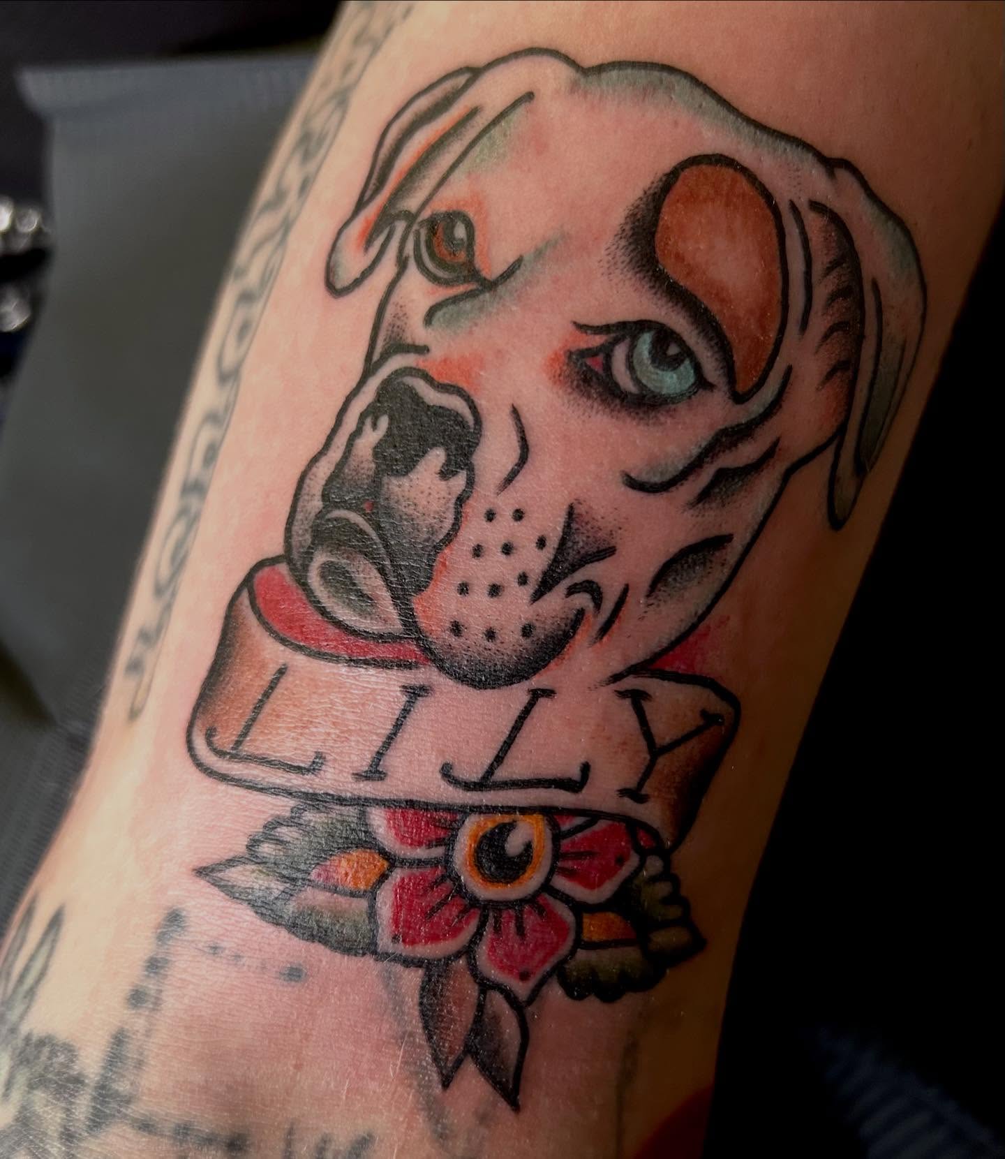 Dog with name American traditional tattoo on the forearm by Jesse Boss, Nashville, Tennessee