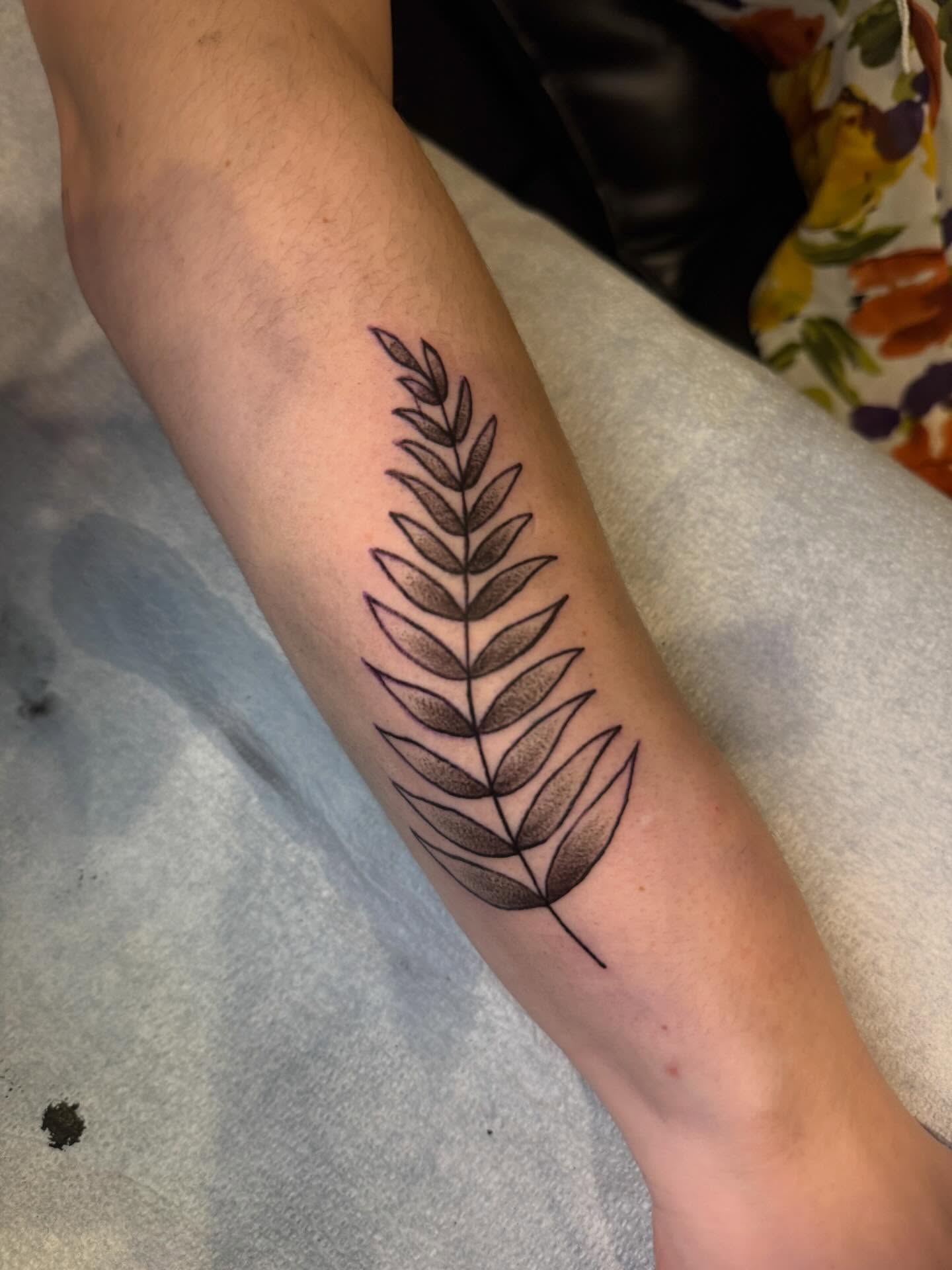 Fern black and grey tattoo on the forearm by Brainrot Illustrative ✶ Traditional Tattoos