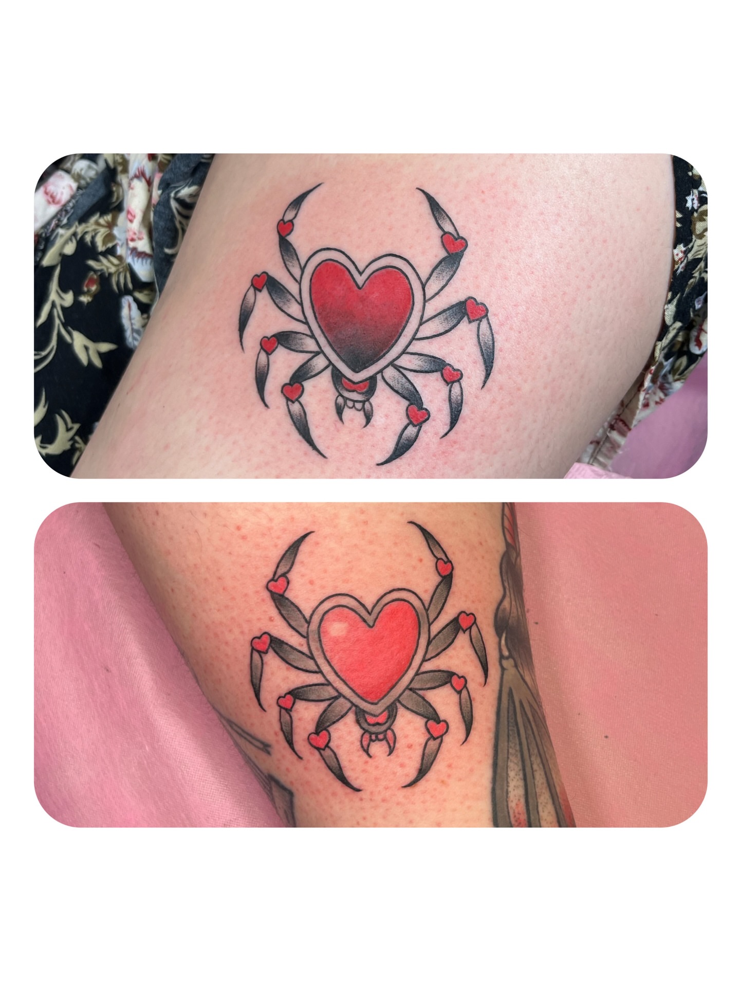 Heart with spider American traditional tattoo on the forearm by ๐Miss Ash Masloff (Mrs.Waritz)๐