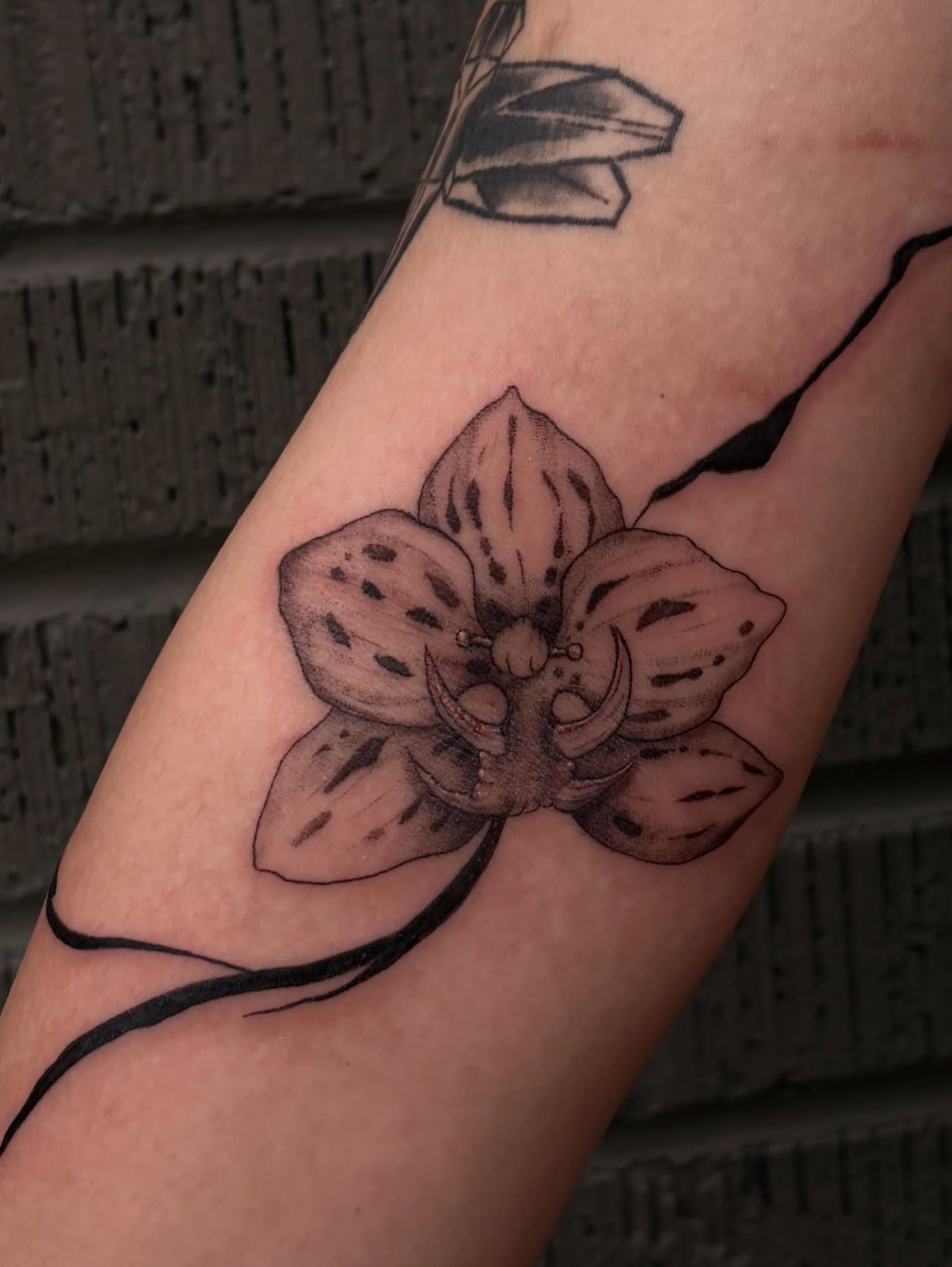 Tattoo by @fathertats โ black_and_grey