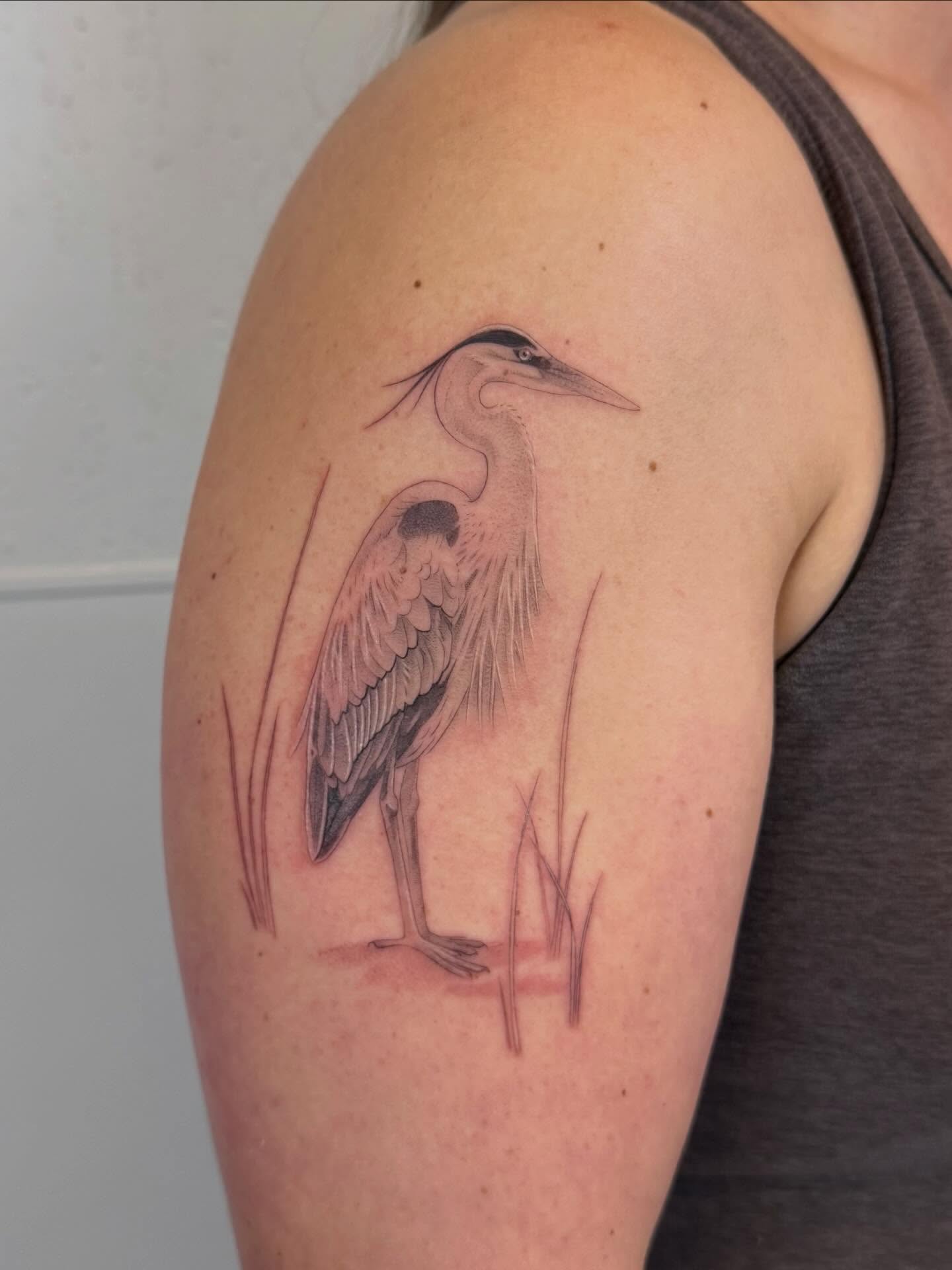 Heron realism tattoo on the shoulder by Justin Turkus