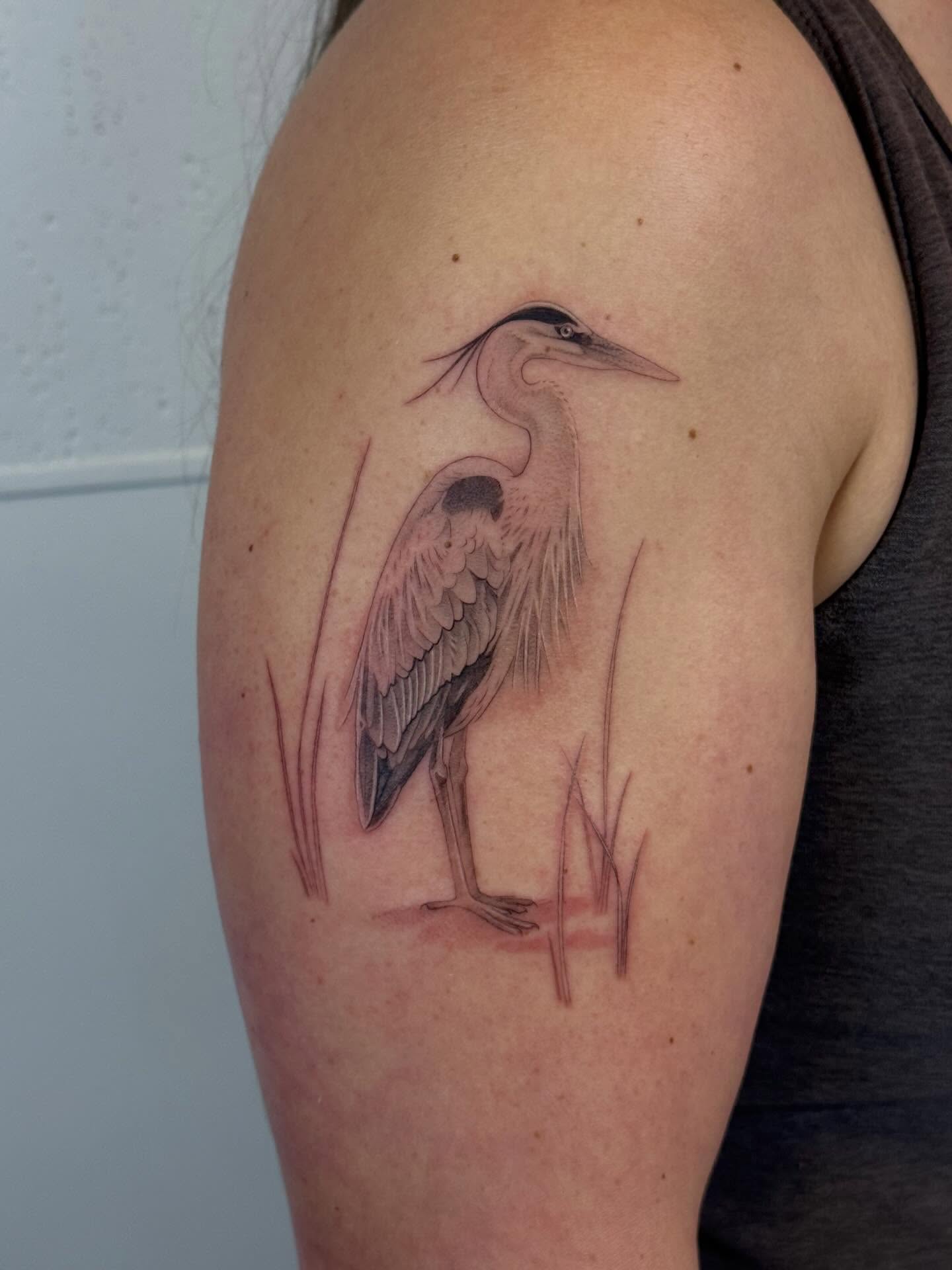 Heron realism tattoo on the shoulder by Justin Turkus