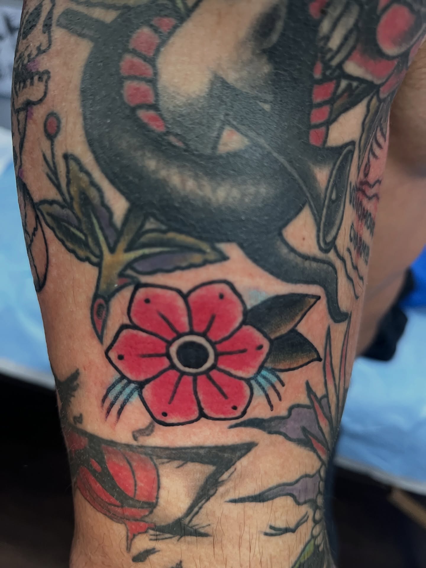 Red flower American traditional tattoo on the forearm by You’ll save me in your phone as Tattoo Tim