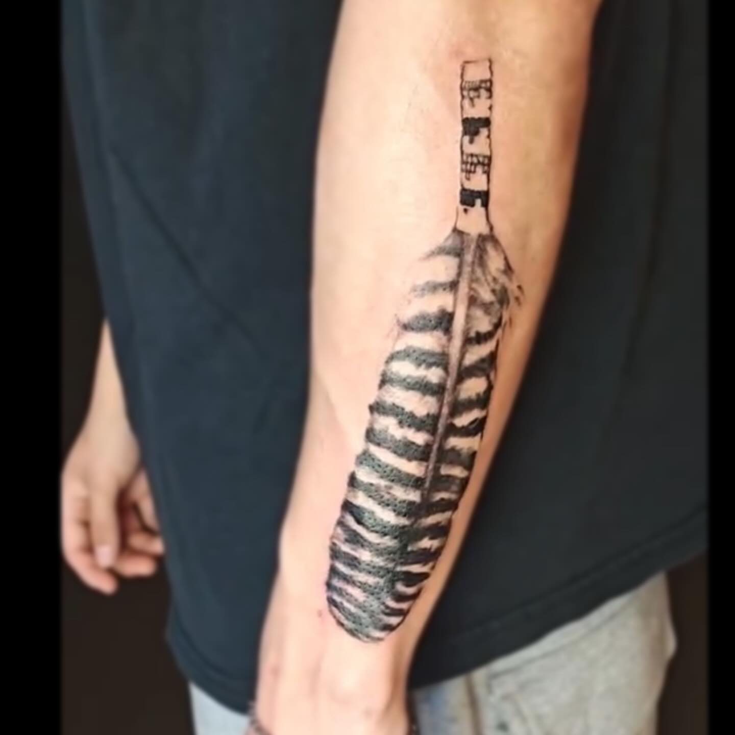 Feather black and grey tattoo on the forearm by Sebastiana