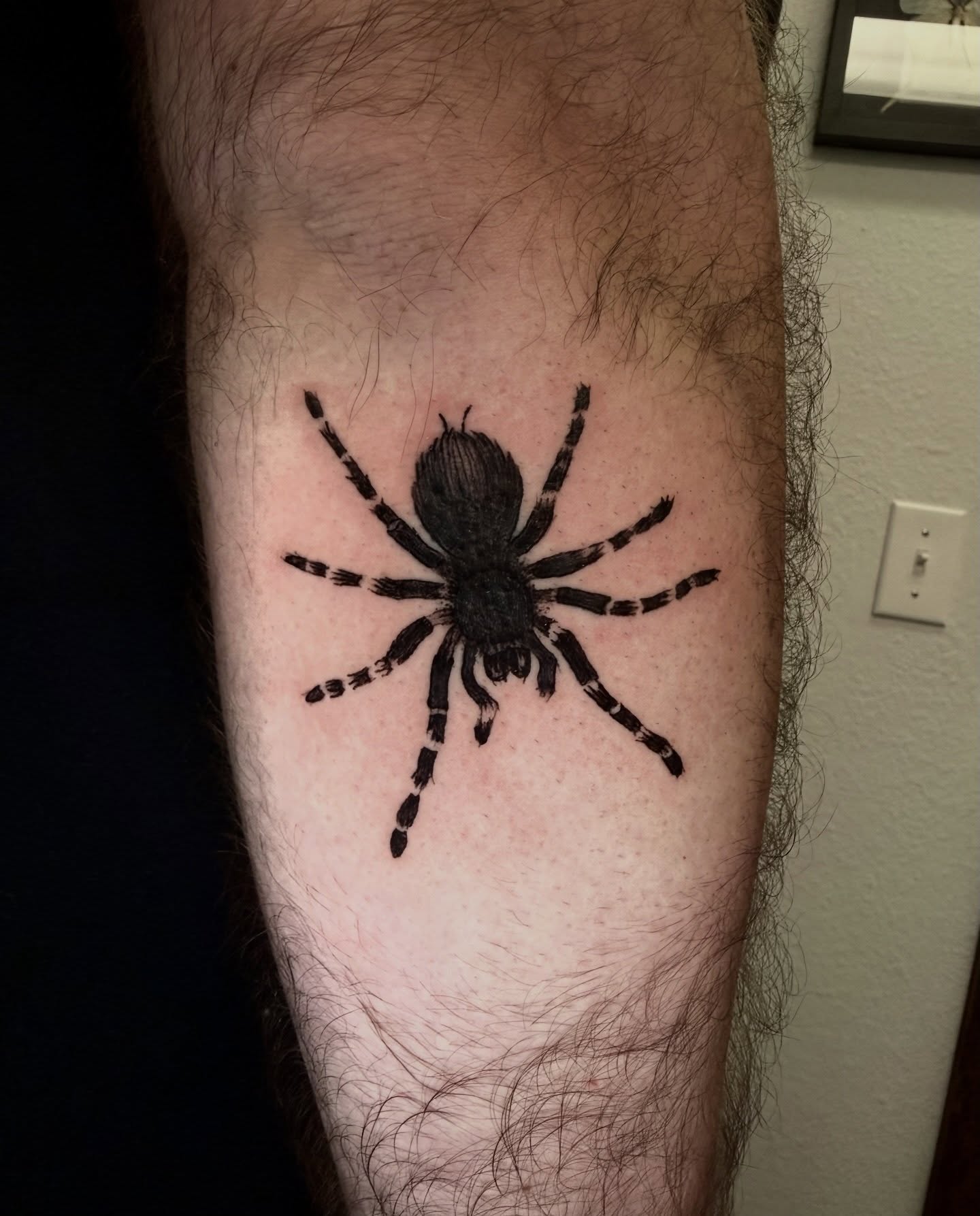 Spider black and grey tattoo on the forearm by Shay - Mandeville Tattoo Artist