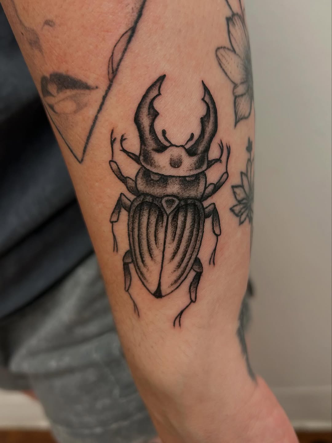 Stag beetle fine line tattoo on the forearm by Chris