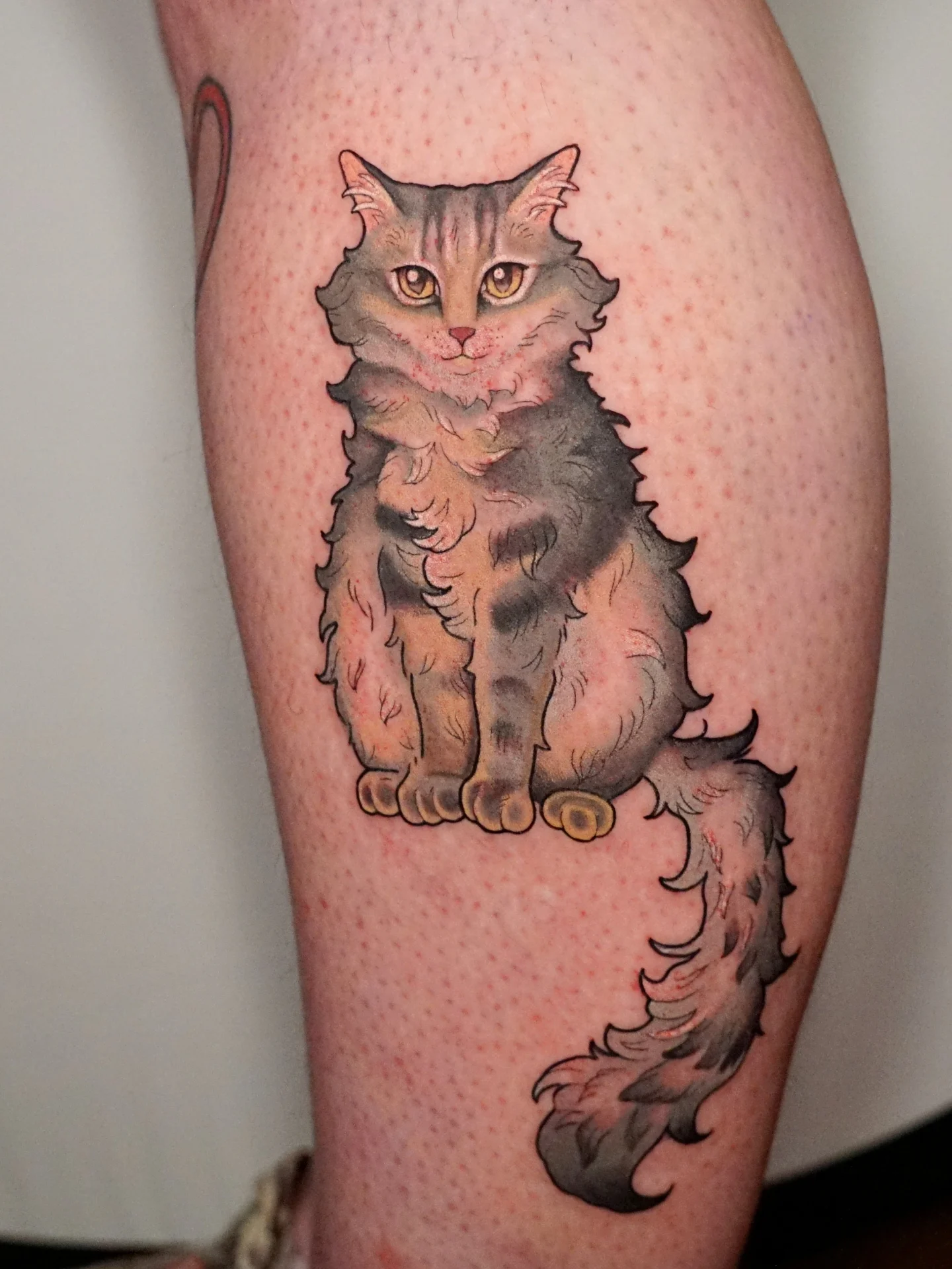Cat realism tattoo on the thigh by kylie, San Antonio, Texas
