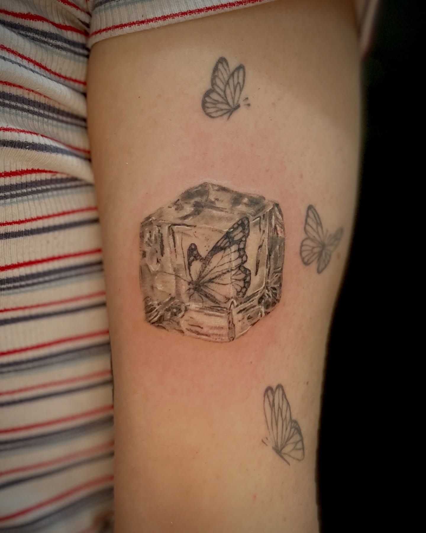 Ice cube with butterflies realism tattoo on the forearm by EO, Chicago, Illinois